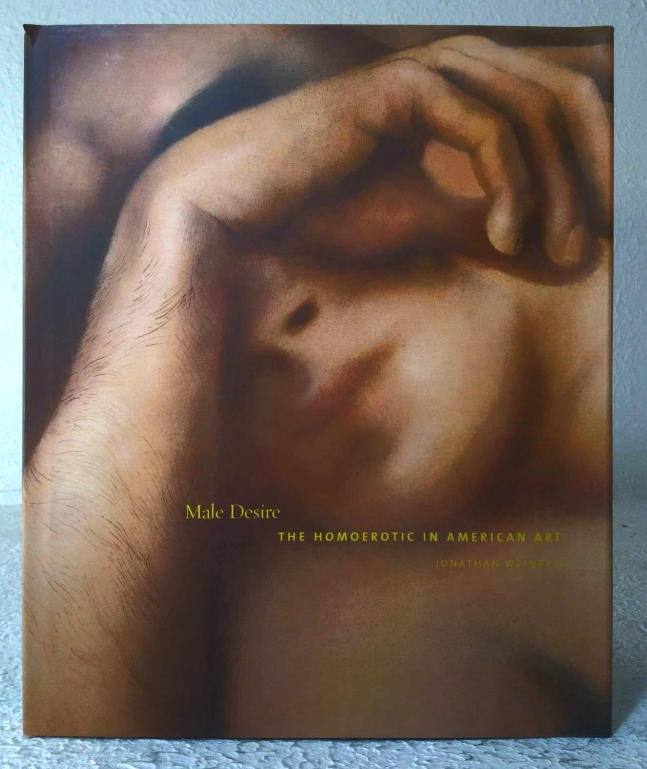 Male Desire: The Homoerotic in American Art 