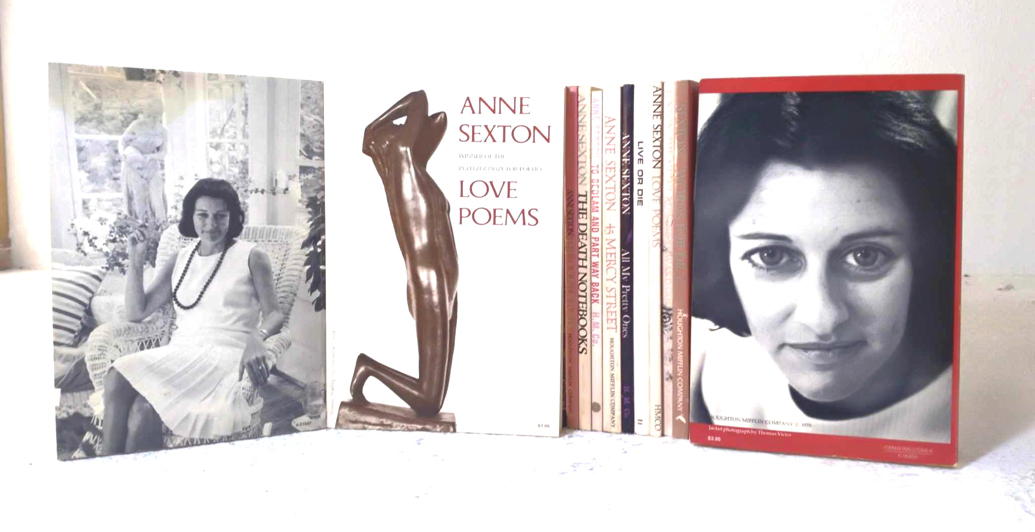 A lot of twelve (12) Anne Sexton poetry titles: Words For Dr. Y.; The Awful Rowing Toward God; Love Poems; Live or Die; All My Pretty Ones; 45 Mercy Street; To Bedlam and Part Way Back; Love Poems; The Death Notebooks; The Book of Folly; Transformations; Words for Dr. Y.