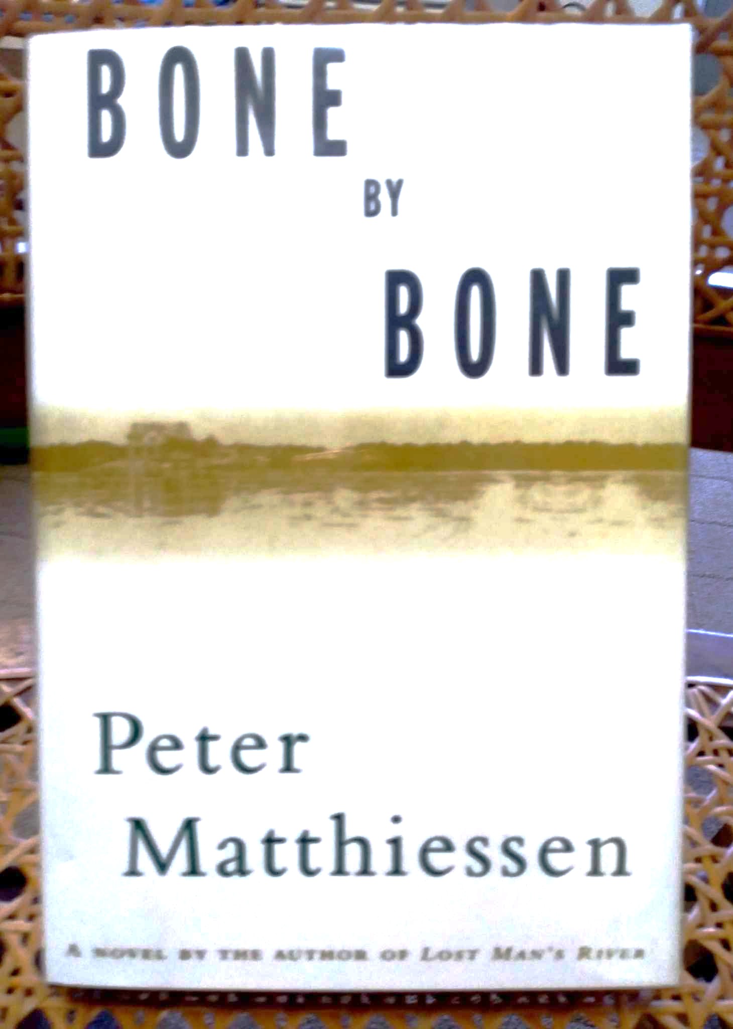 Bone by Bone
