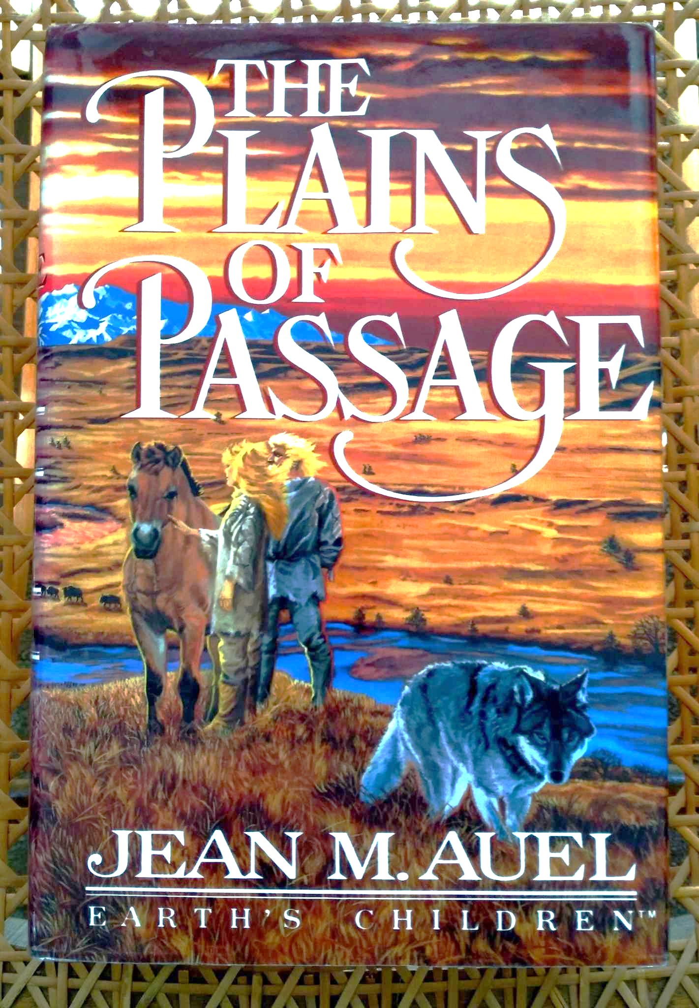 The Plains of Passage
