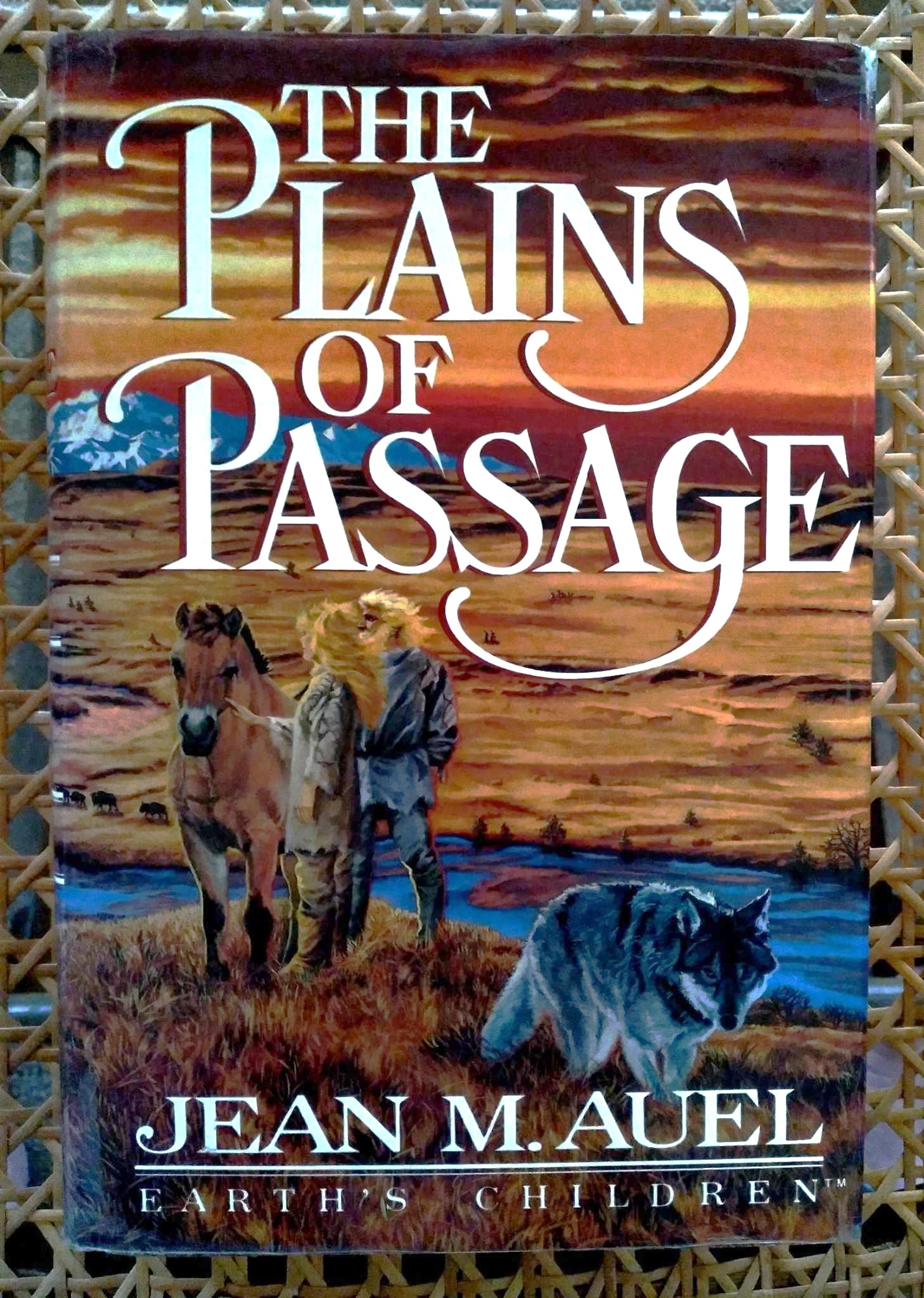 The Plains of Passage
