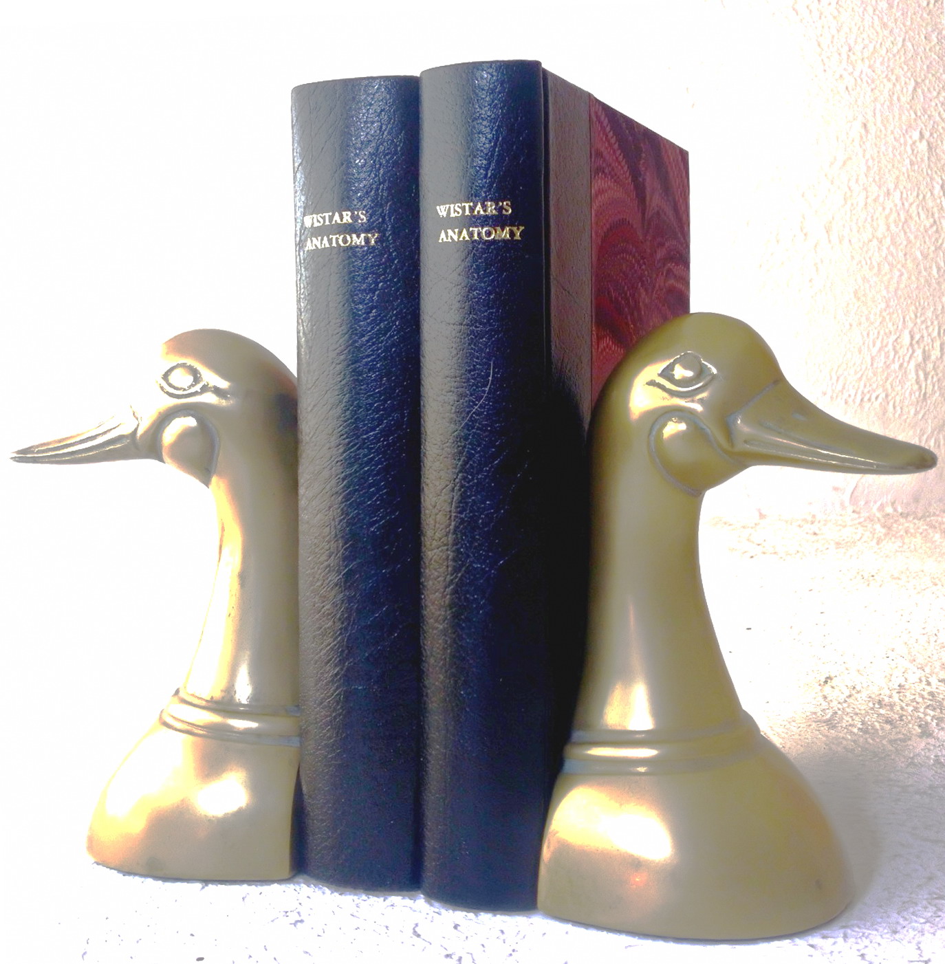 A System of Anatomy for the Use of Students of Medicine