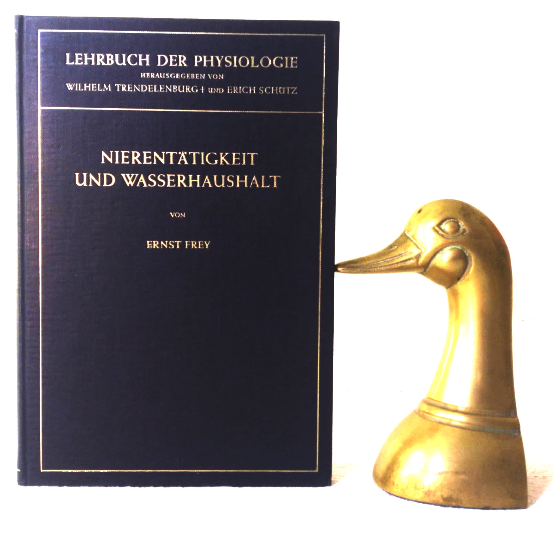 Nierentatigkeit und Wasserhaushalt
