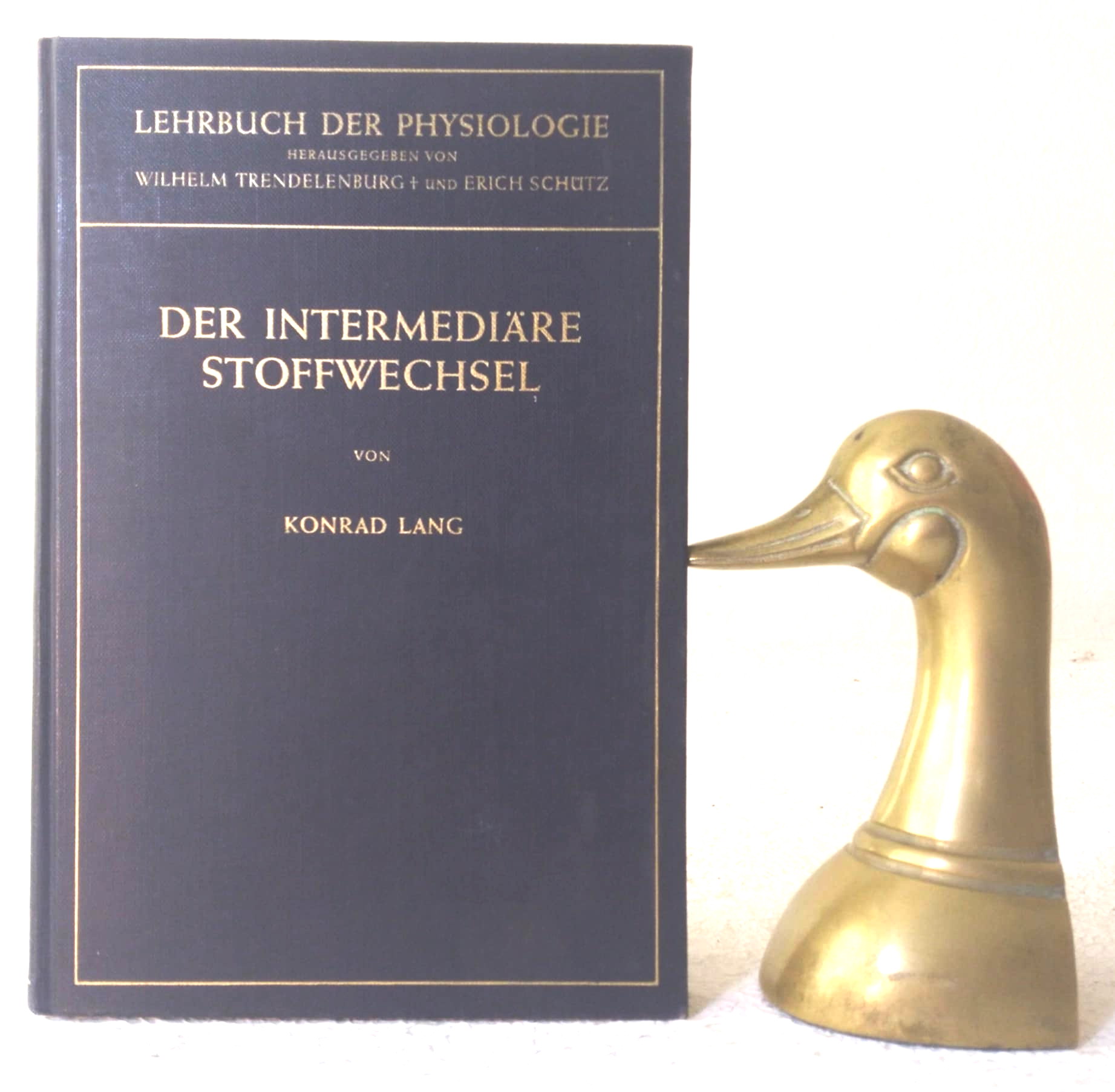 Der Intermediare Stoffwechsel