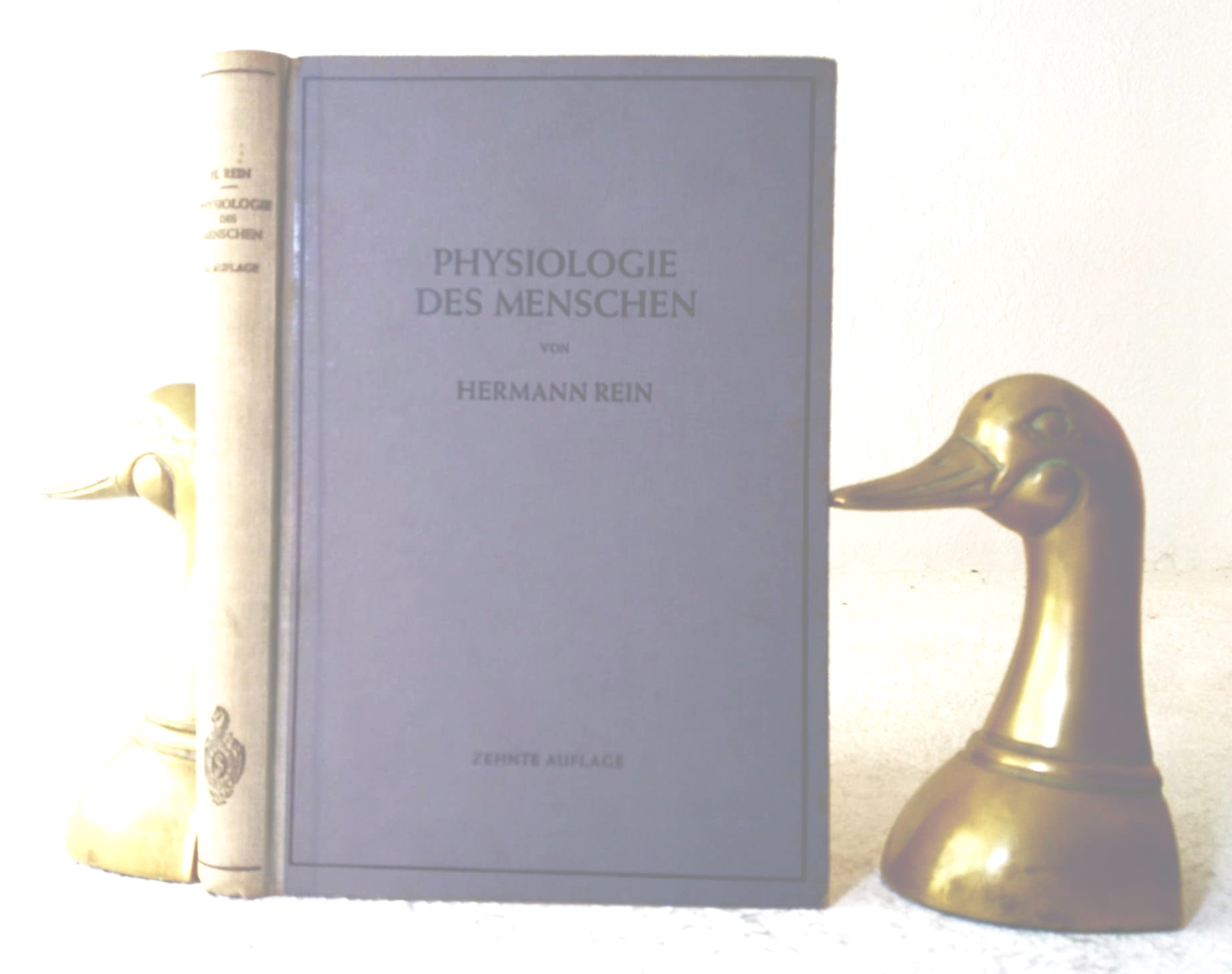 Einfhrung in die Physiologie des Menschen