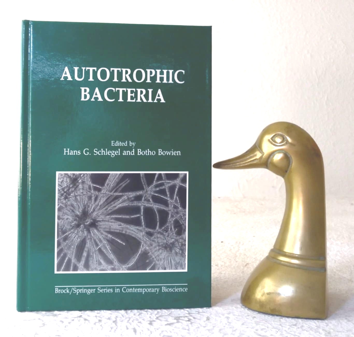 Autotrophic Bacteria