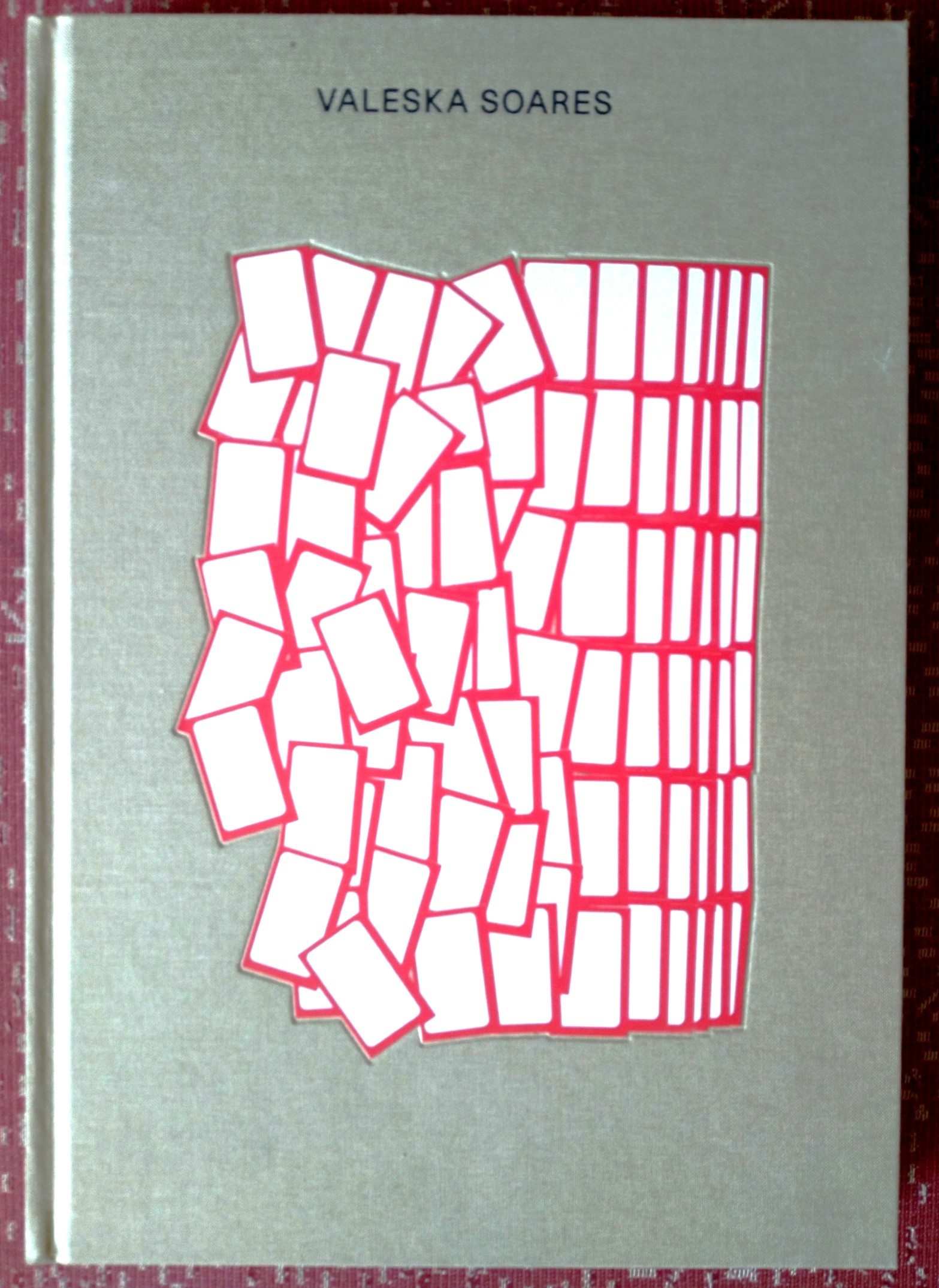 Image for Valeska Soares: Any Moment Now Valeska Soares: Any Moment Now