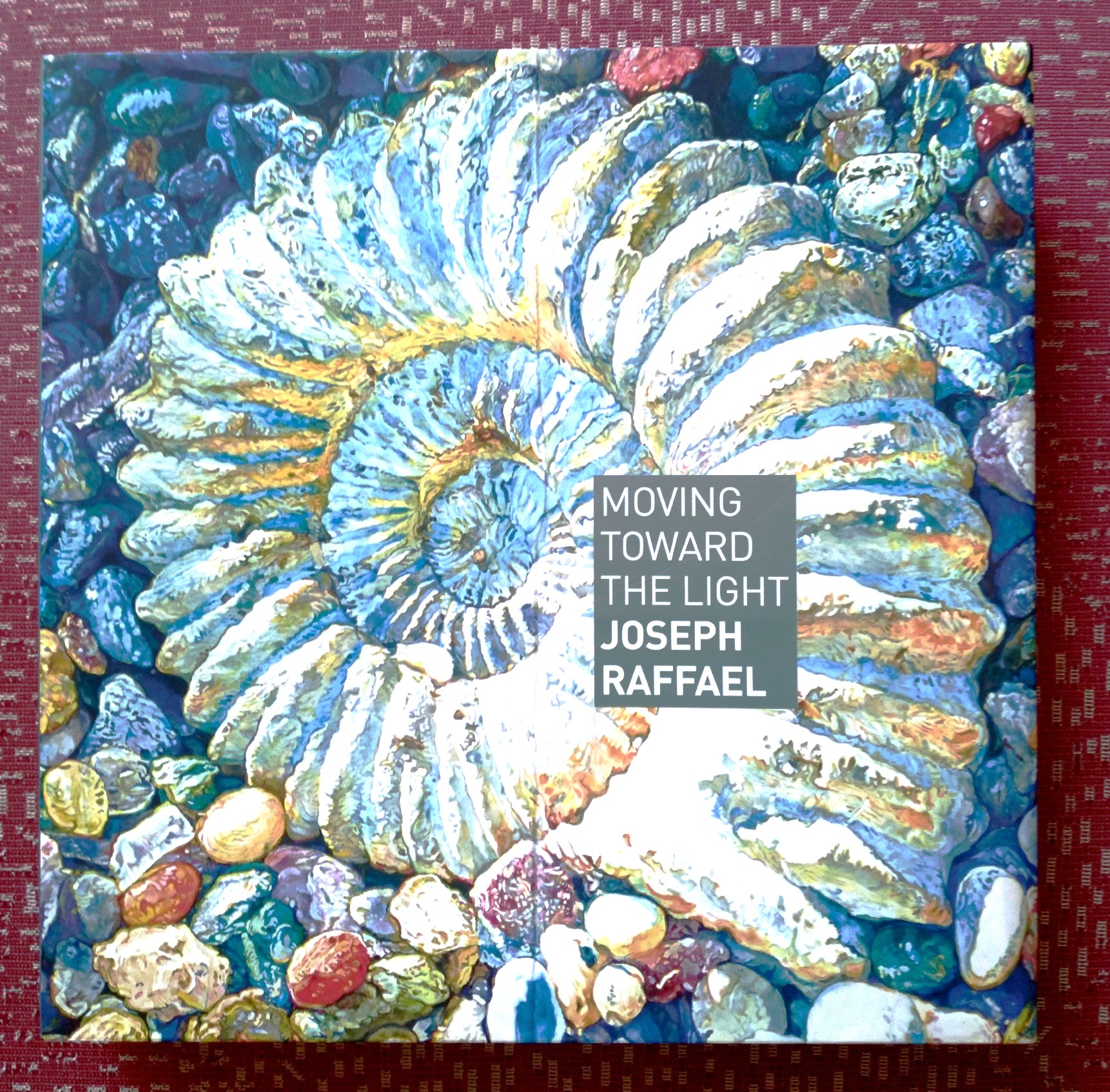 Image for Joseph Raffael Moving Toward the Light Joseph Raffael Moving Toward the Light