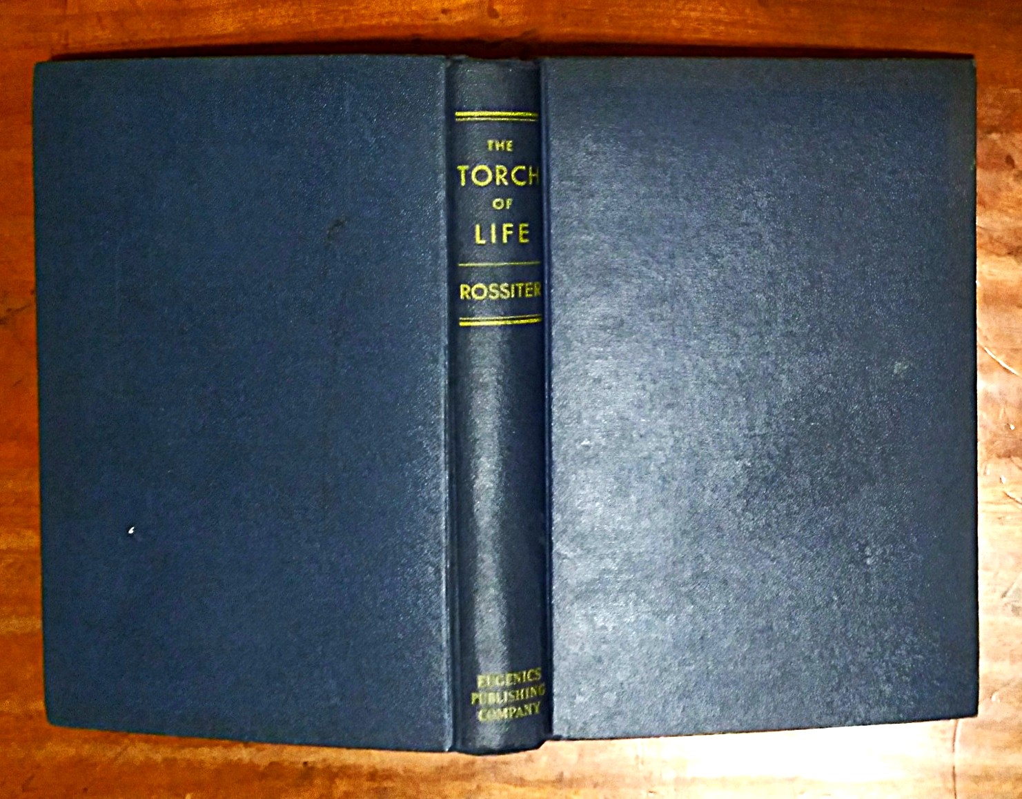 The Torch of Life: a key to sex harmony