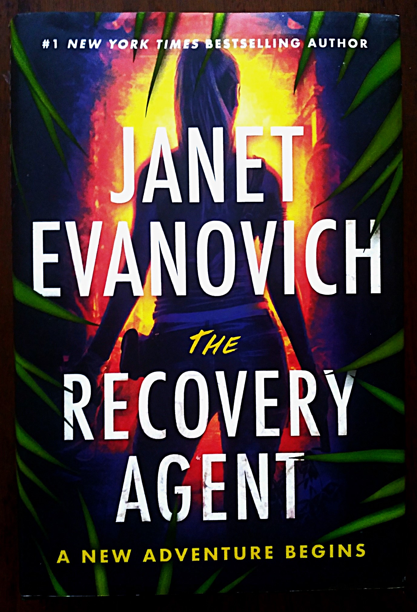 Image for The Recovery Agent: a new adventure begins The Recovery Agent: a new adventure begins