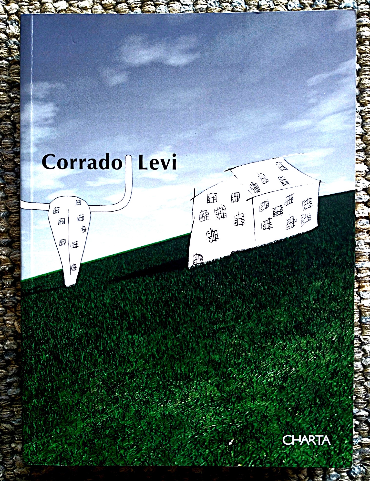Corrado Levi: Vedere l'arcobaleno con la coda dell'occhio / Catch the rainbow out of the corner of your eye
