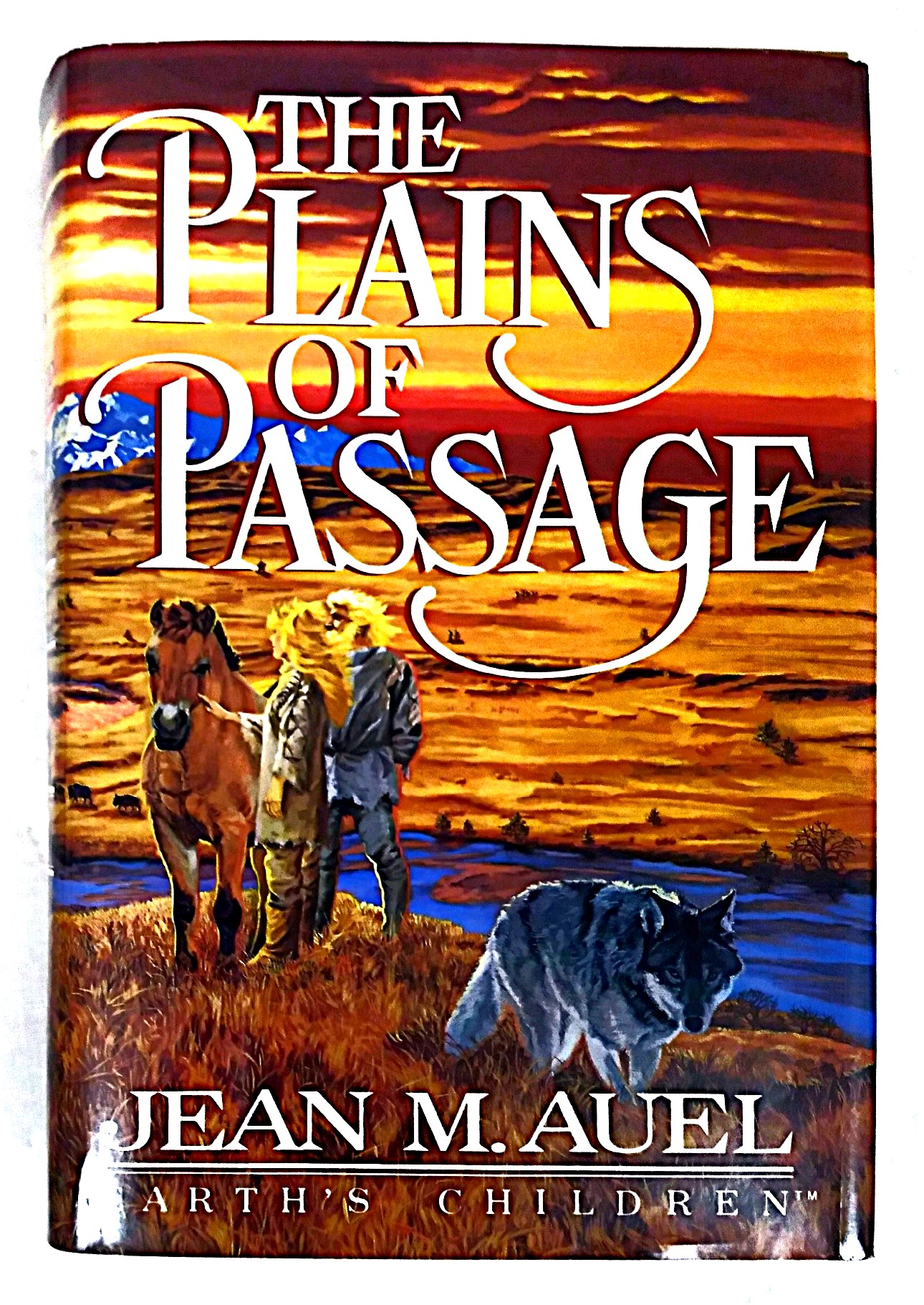 Image for The Plains of Passage The Plains of Passage