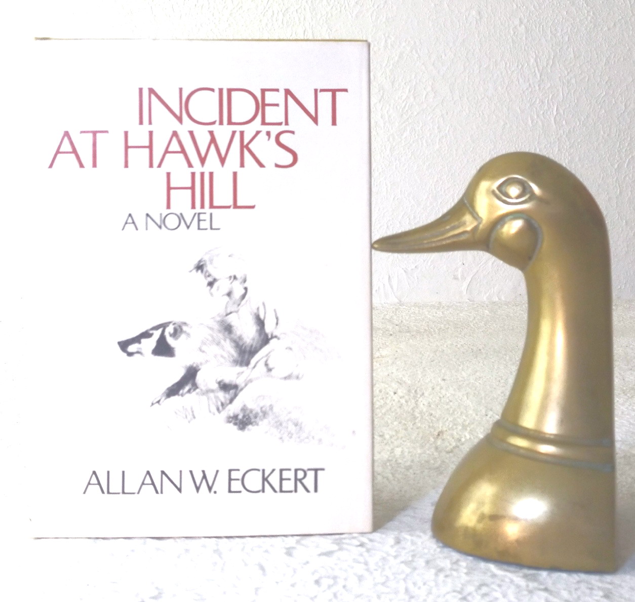 Image for Incident at Hawk's Hill Incident at Hawk's Hill