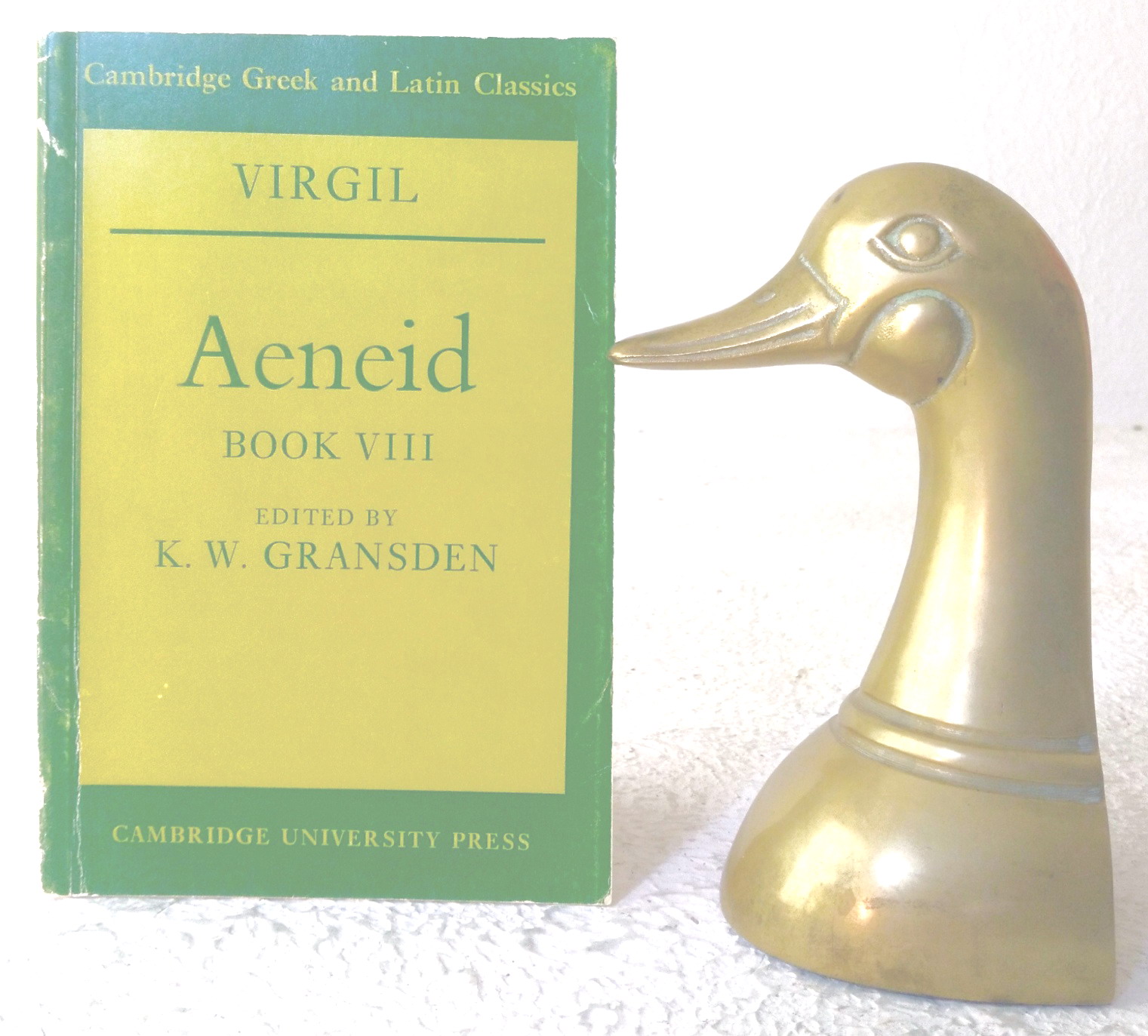 Aeneid, Book VIII