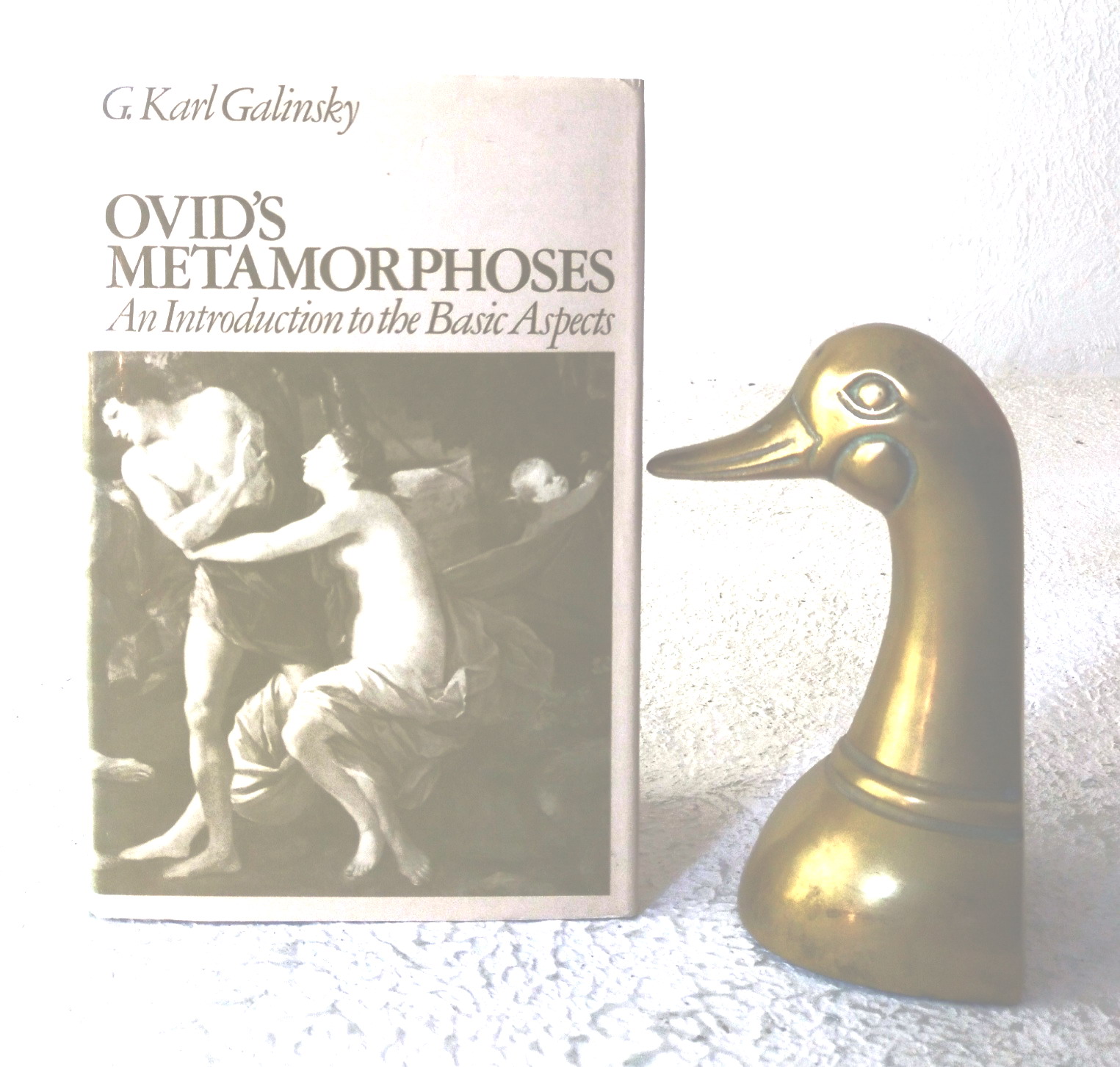 Ovid's Metamorphoses: an introduction to the basic aspects