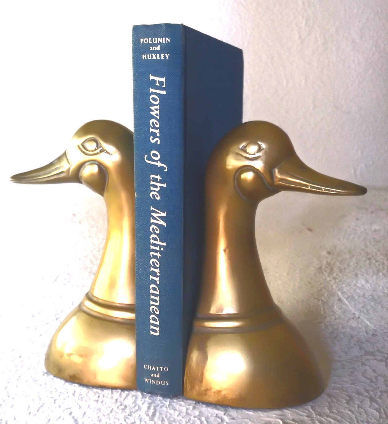 Image for Flowers of the Mediterranean Flowers of the Mediterranean