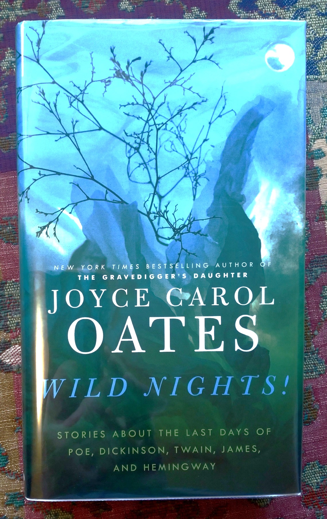 Wild Nights!: stories about the last days of Poe, Dickinson, Twain, James, and Hemingway