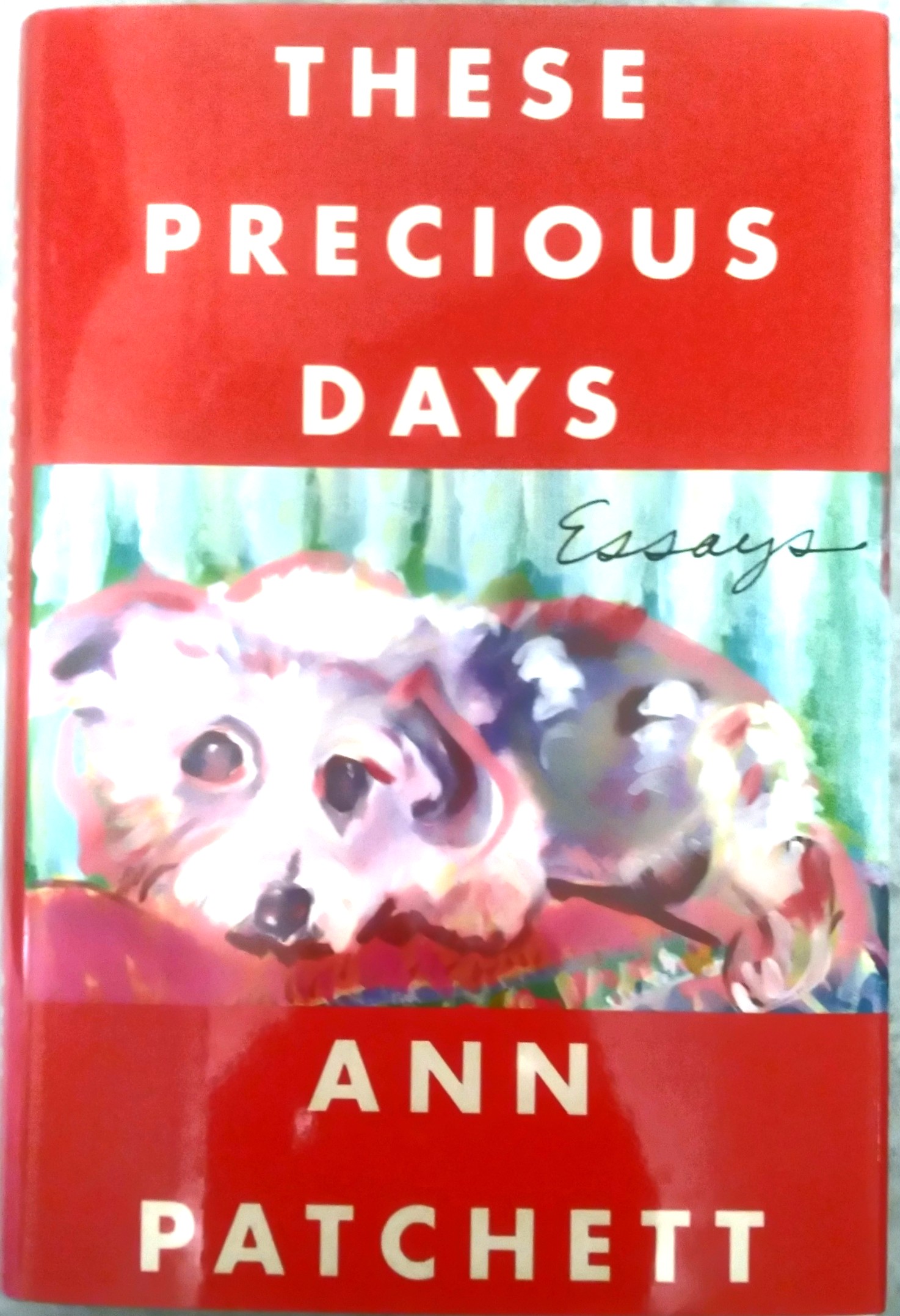 These Precious Days: essays