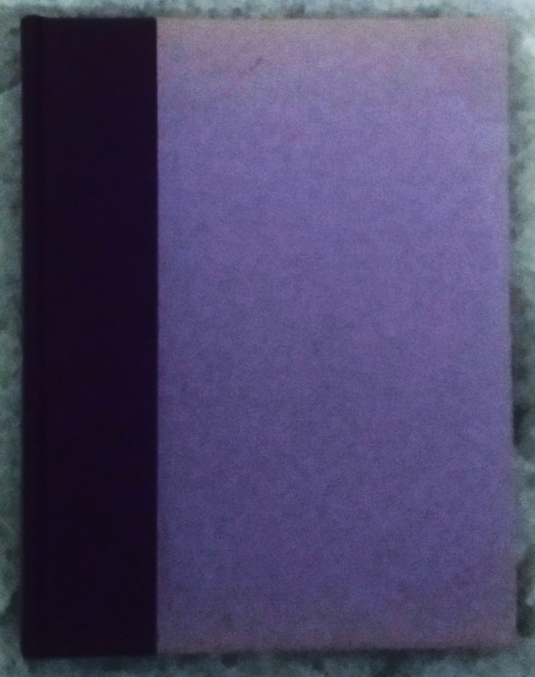 The Gull and other Georgia Scenes