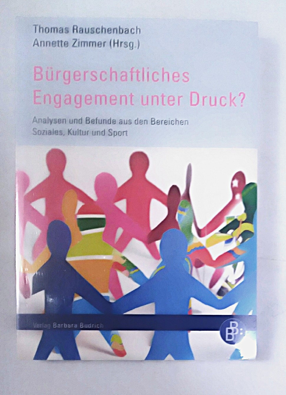 Brgerschaftliches Engagement unter Druck: analysen und Befunde aus den Bereichen Soziales, Kultur und Sport