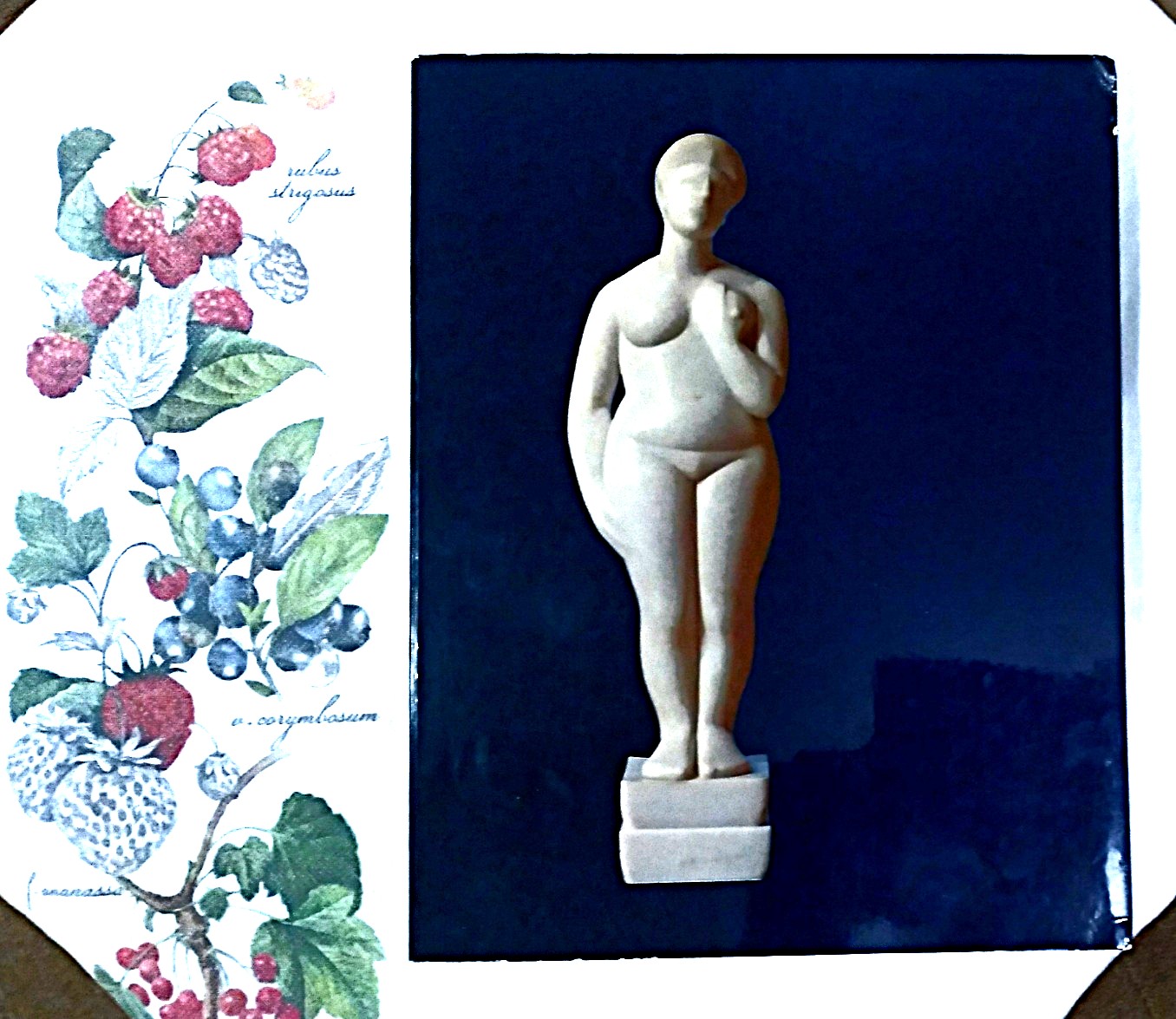 Andros. Muse d Art Moderne