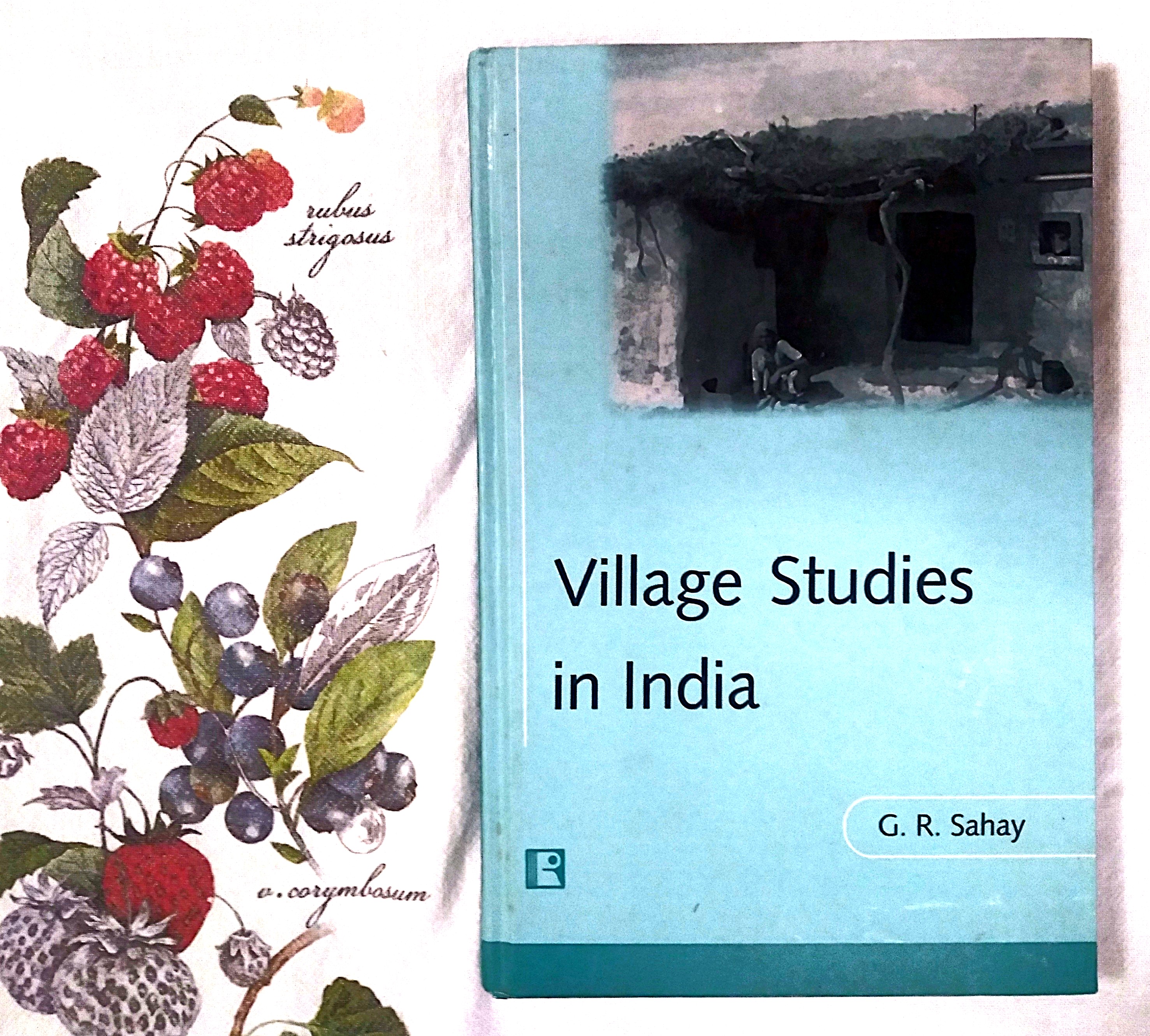 Village Studies in India