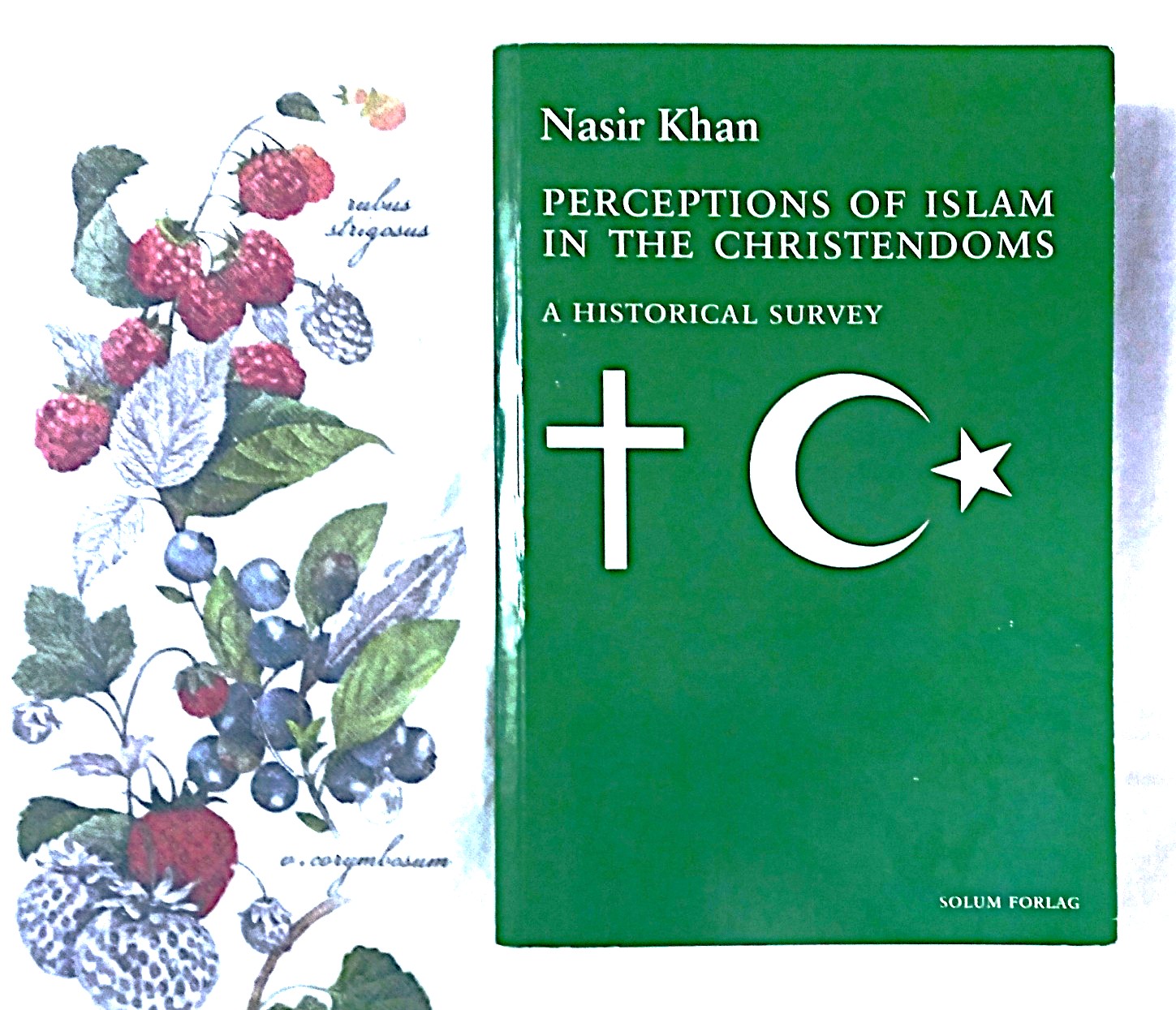 Perceptions of Islam in the Christendoms