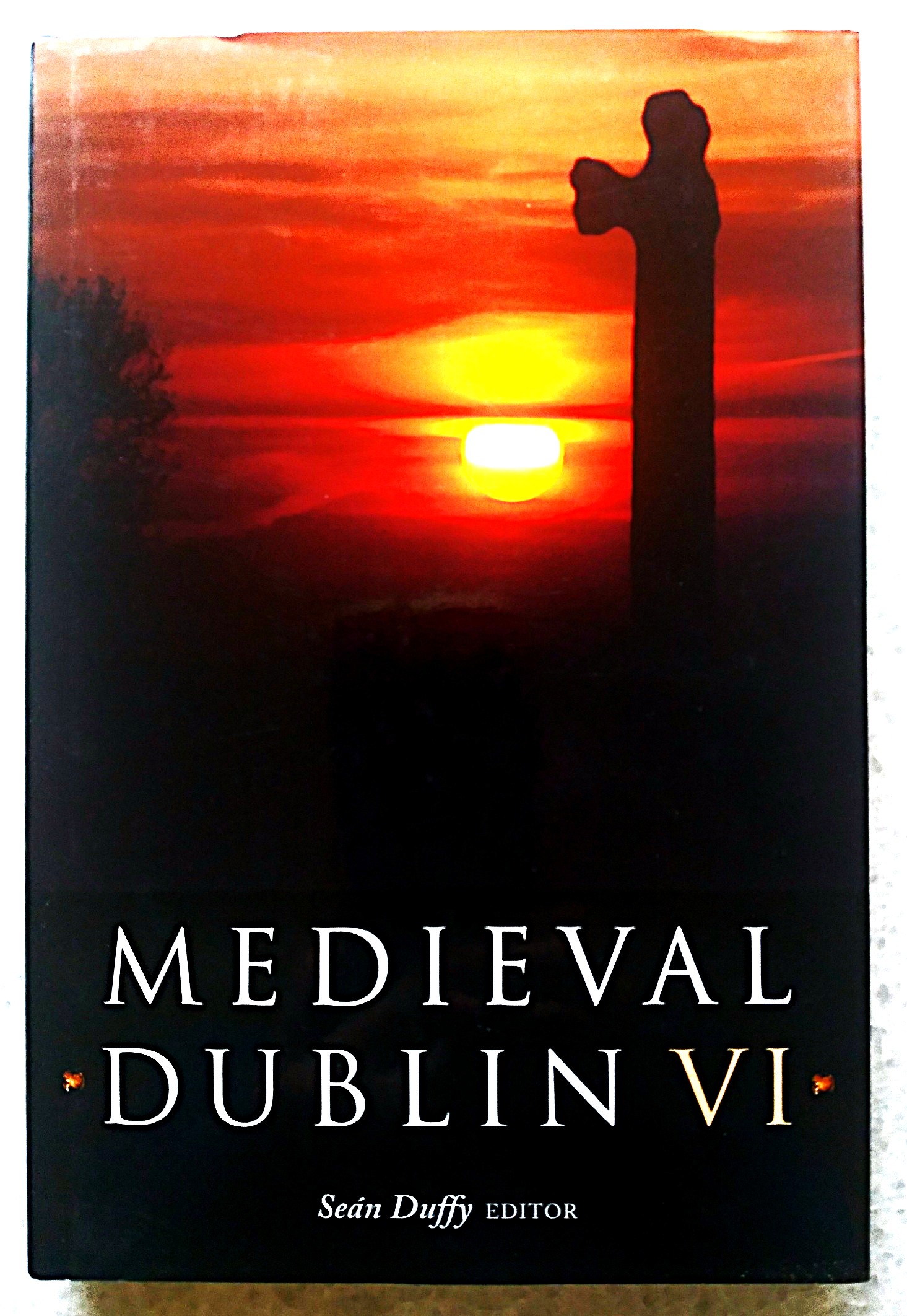 Medieval Dublin VI