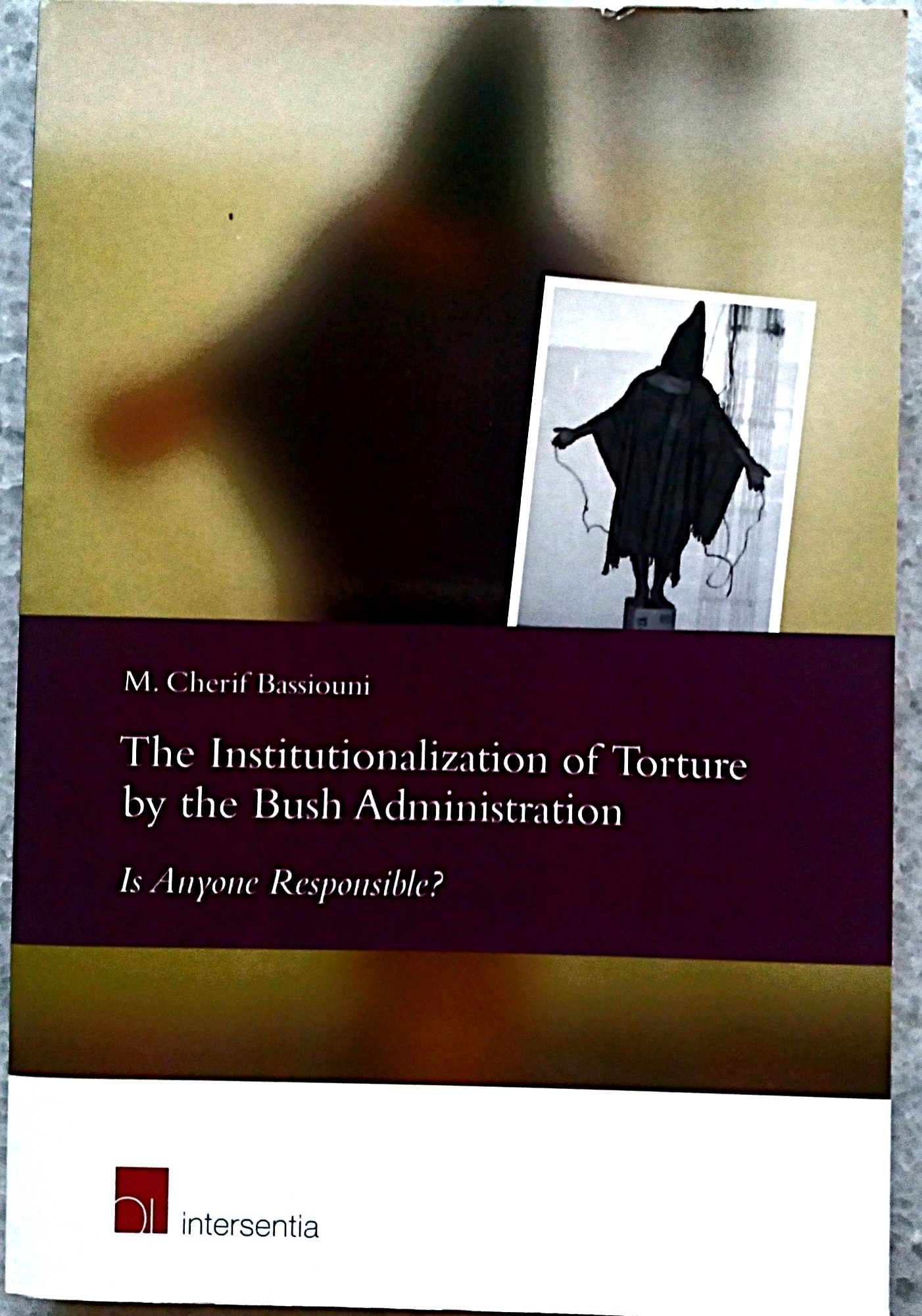The Institutionalization of Torture by the Bush Administration: Is Anyone Responsible