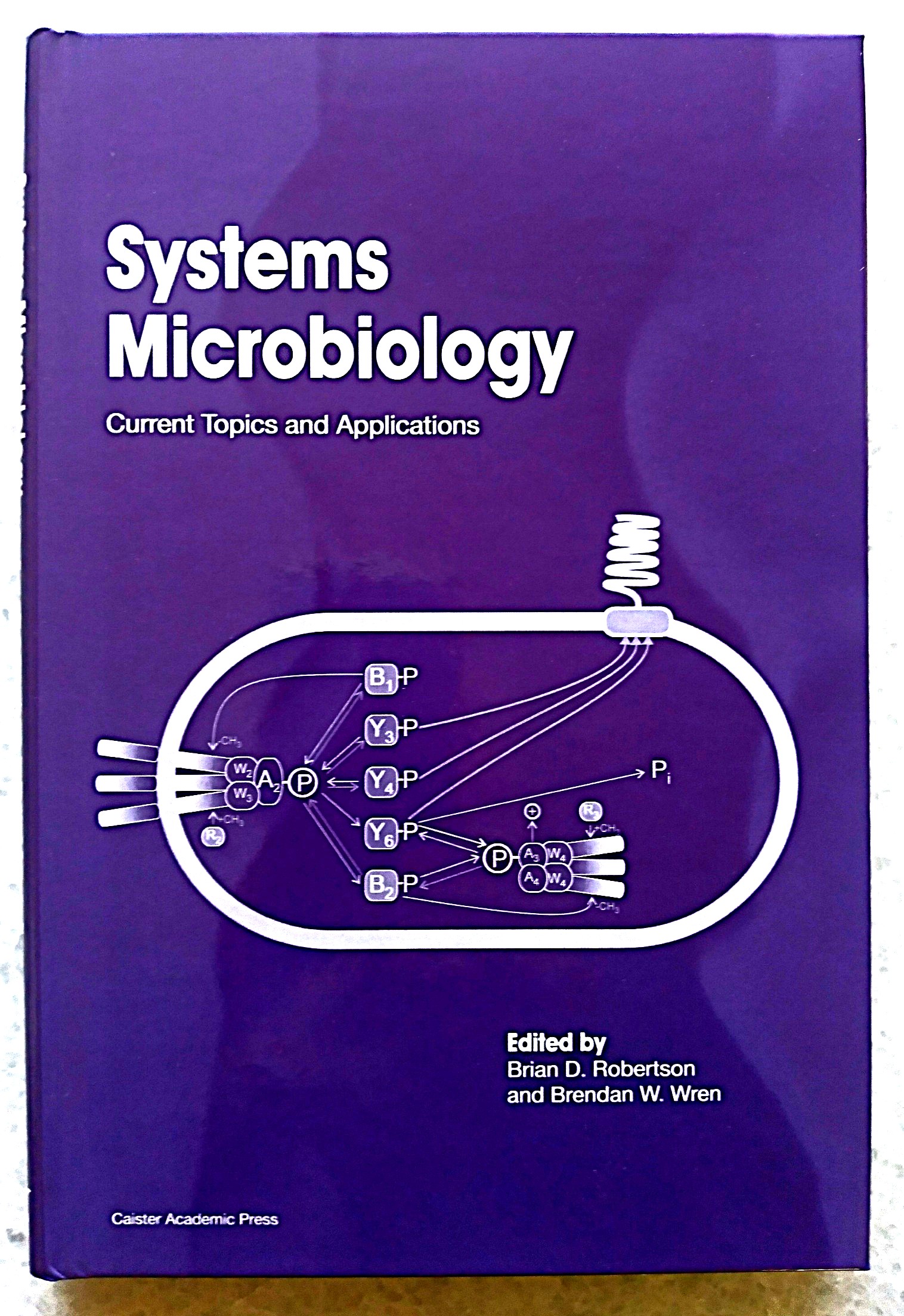Image for Systems Microbiology: Current Topics and Applications Systems Microbiology: Current Topics and Applications