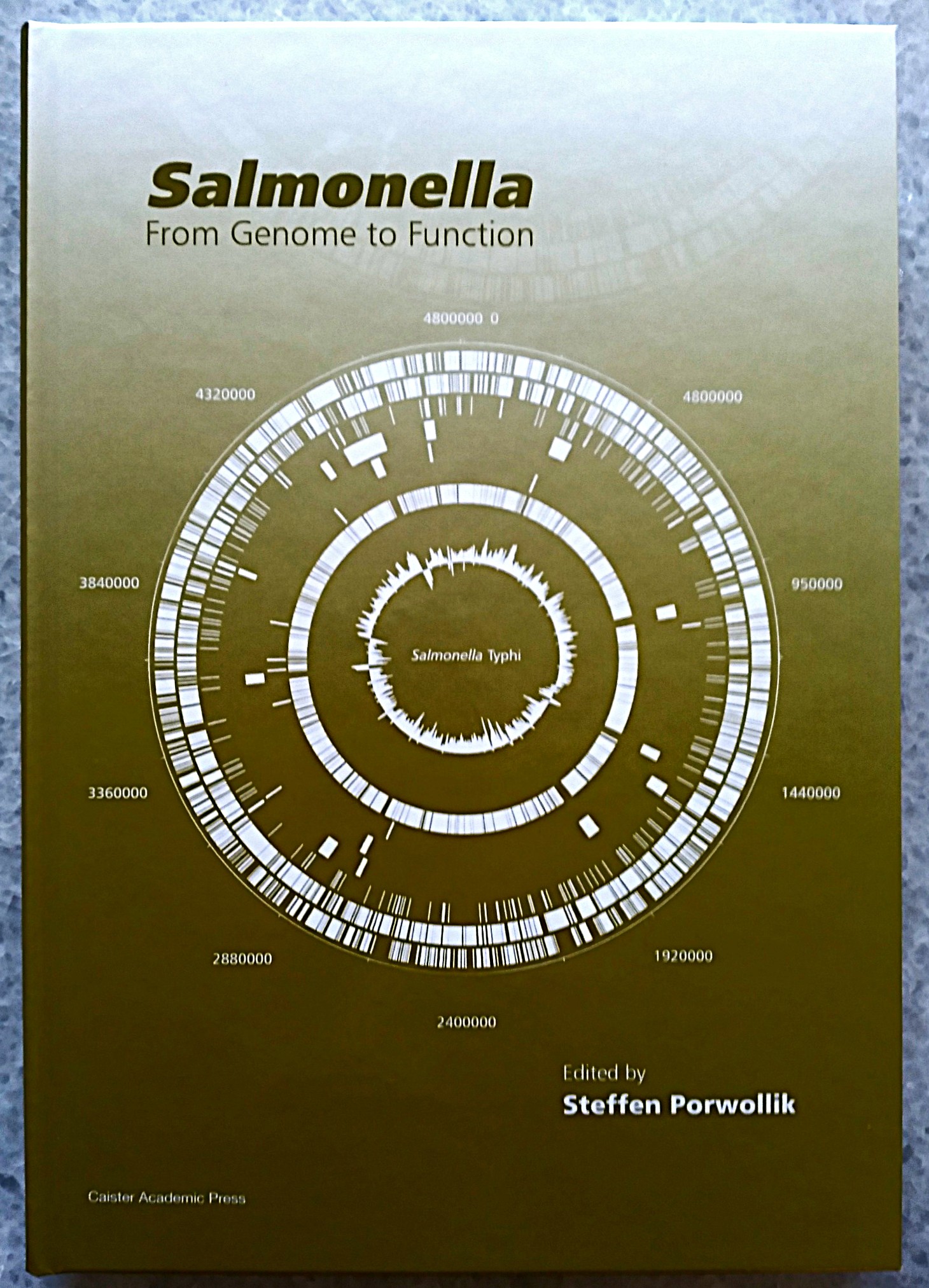 Image for Salmonella: From Genome to Function Salmonella: From Genome to Function
