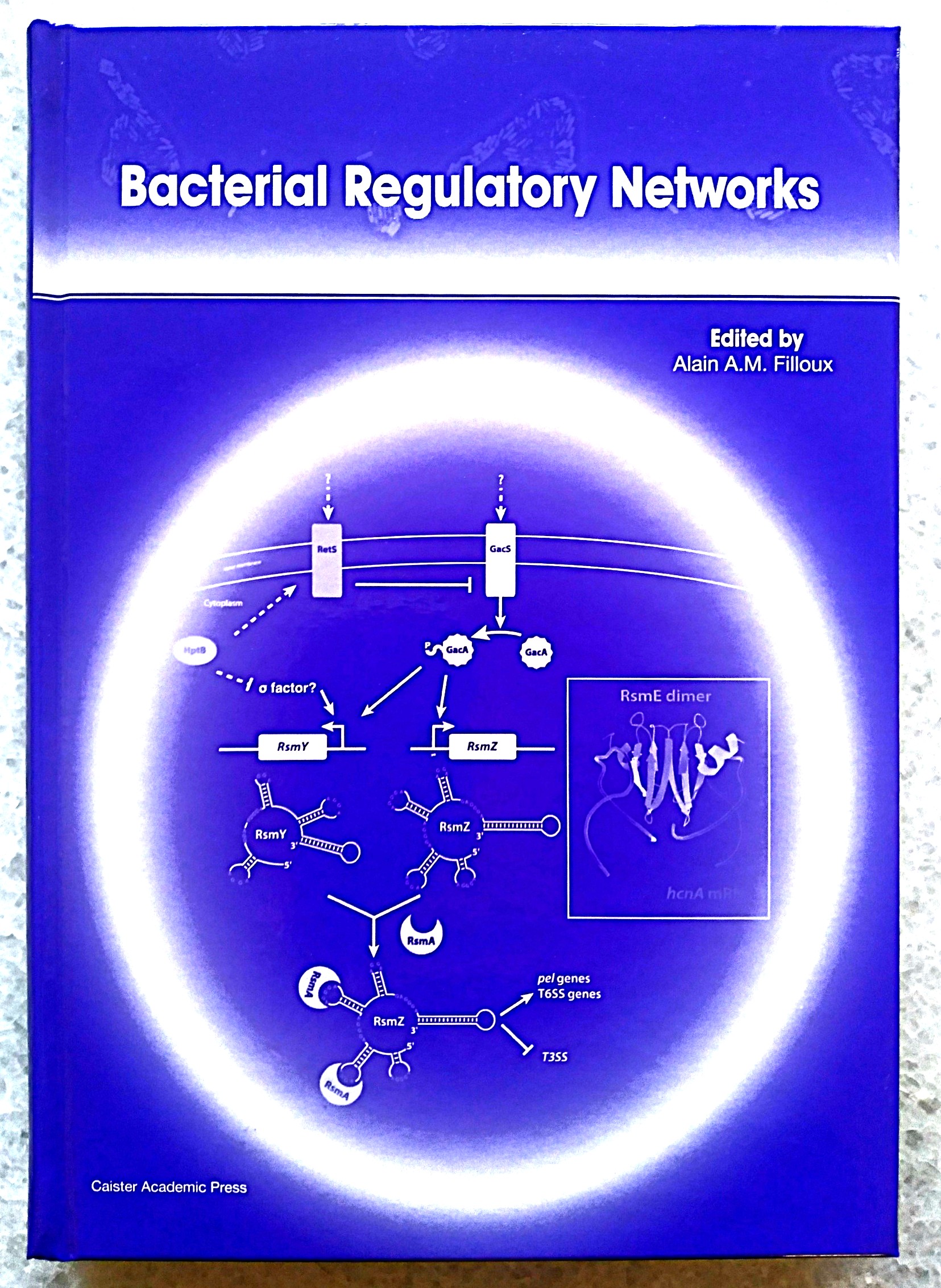 Image for Bacterial Regulatory Networks Bacterial Regulatory Networks