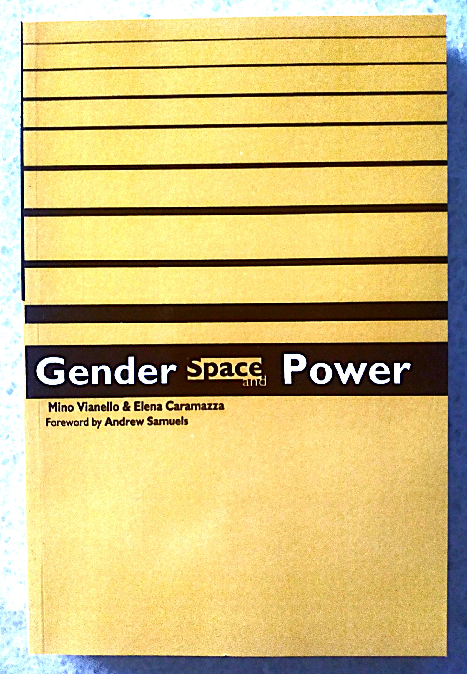 Gender, Space And Power: A New Paradigm for the Social Sciences