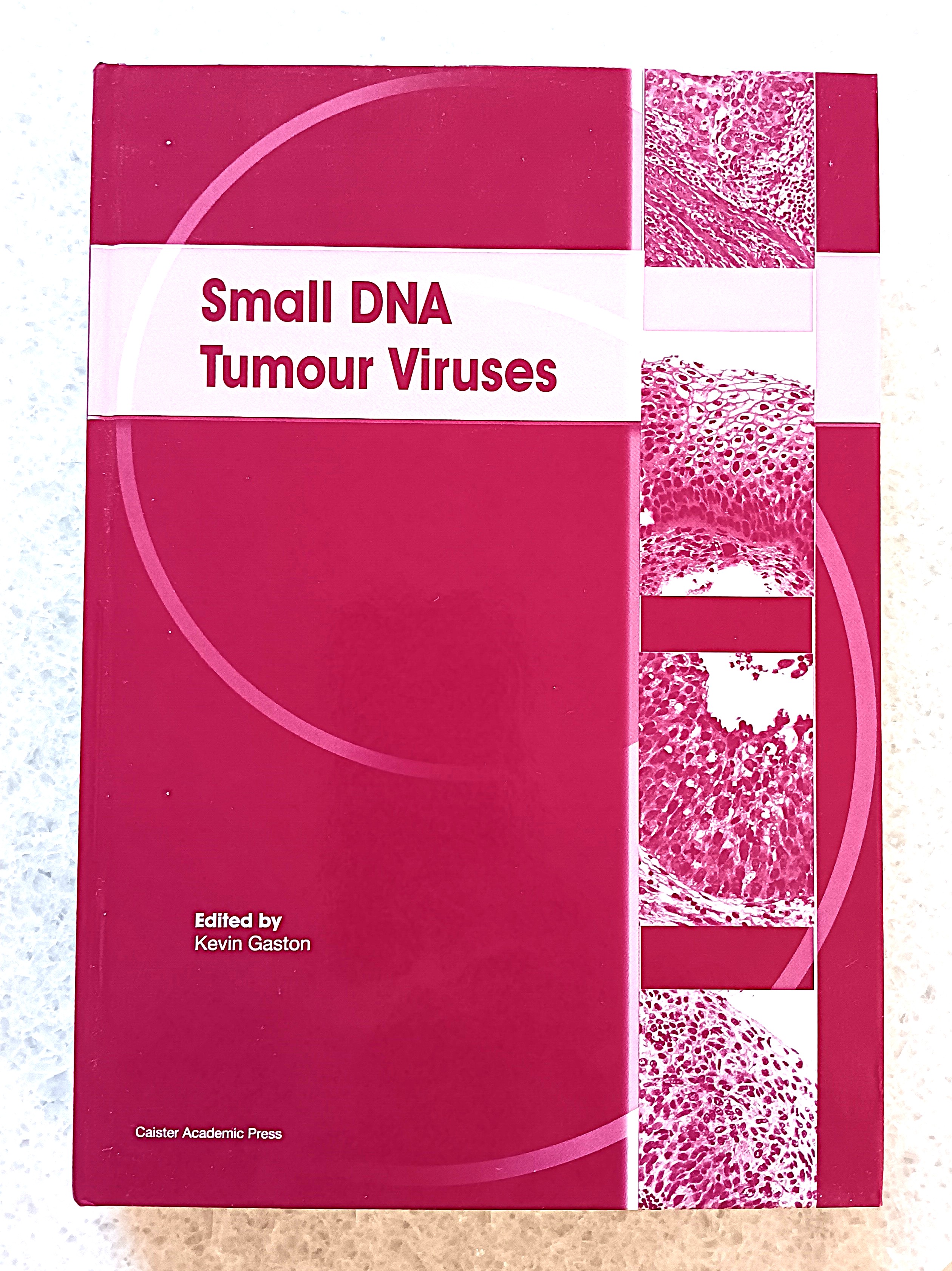 Small DNA Tumour Viruses
