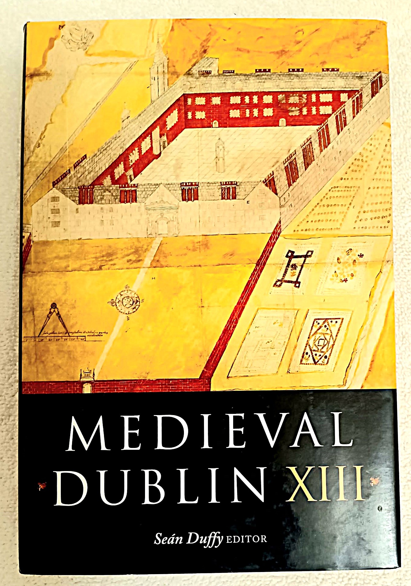 Medieval Dublin XIII