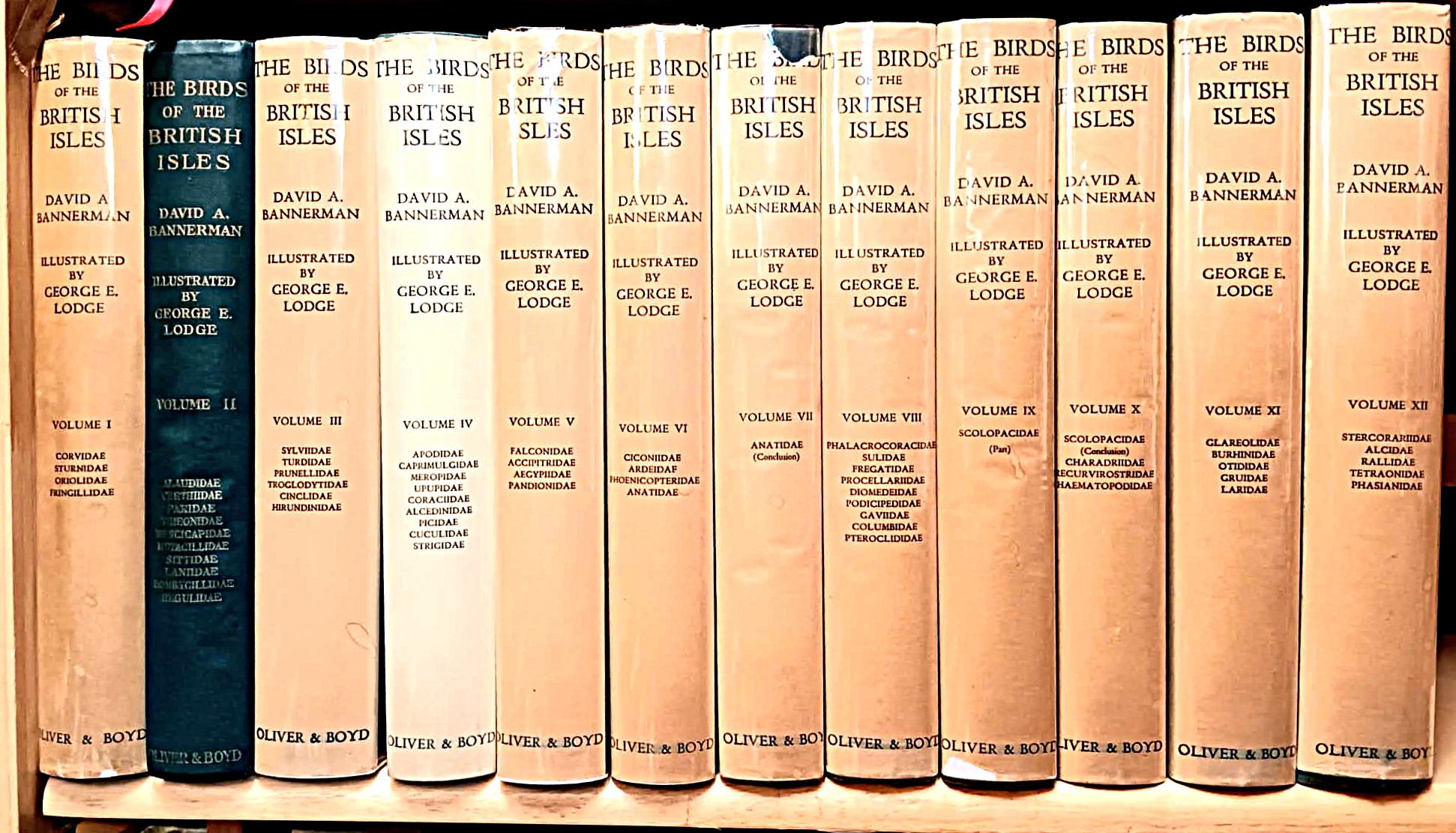 The Birds of the British Isles