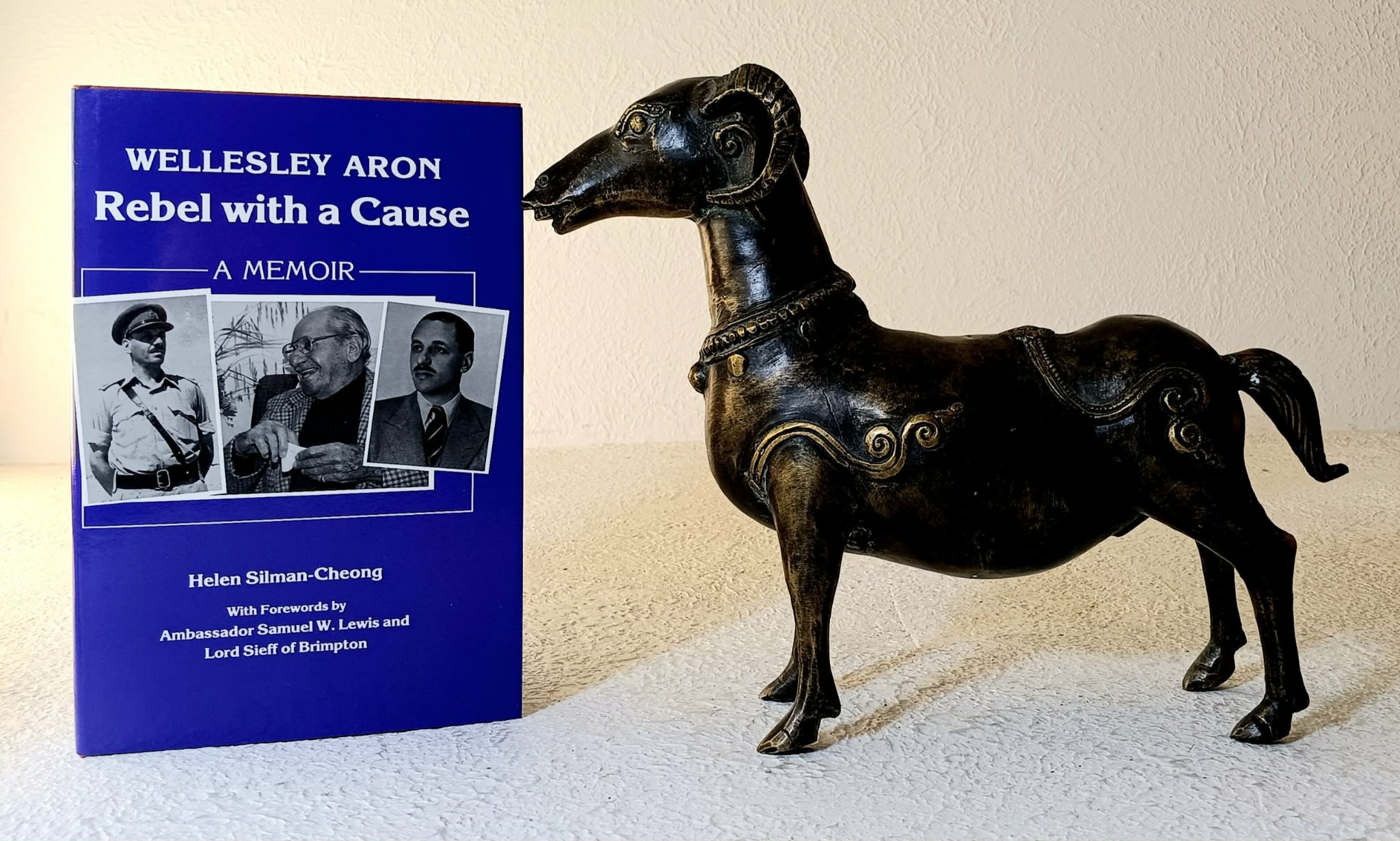 Wellesley Aron Rebel With a Cause: A Memoir