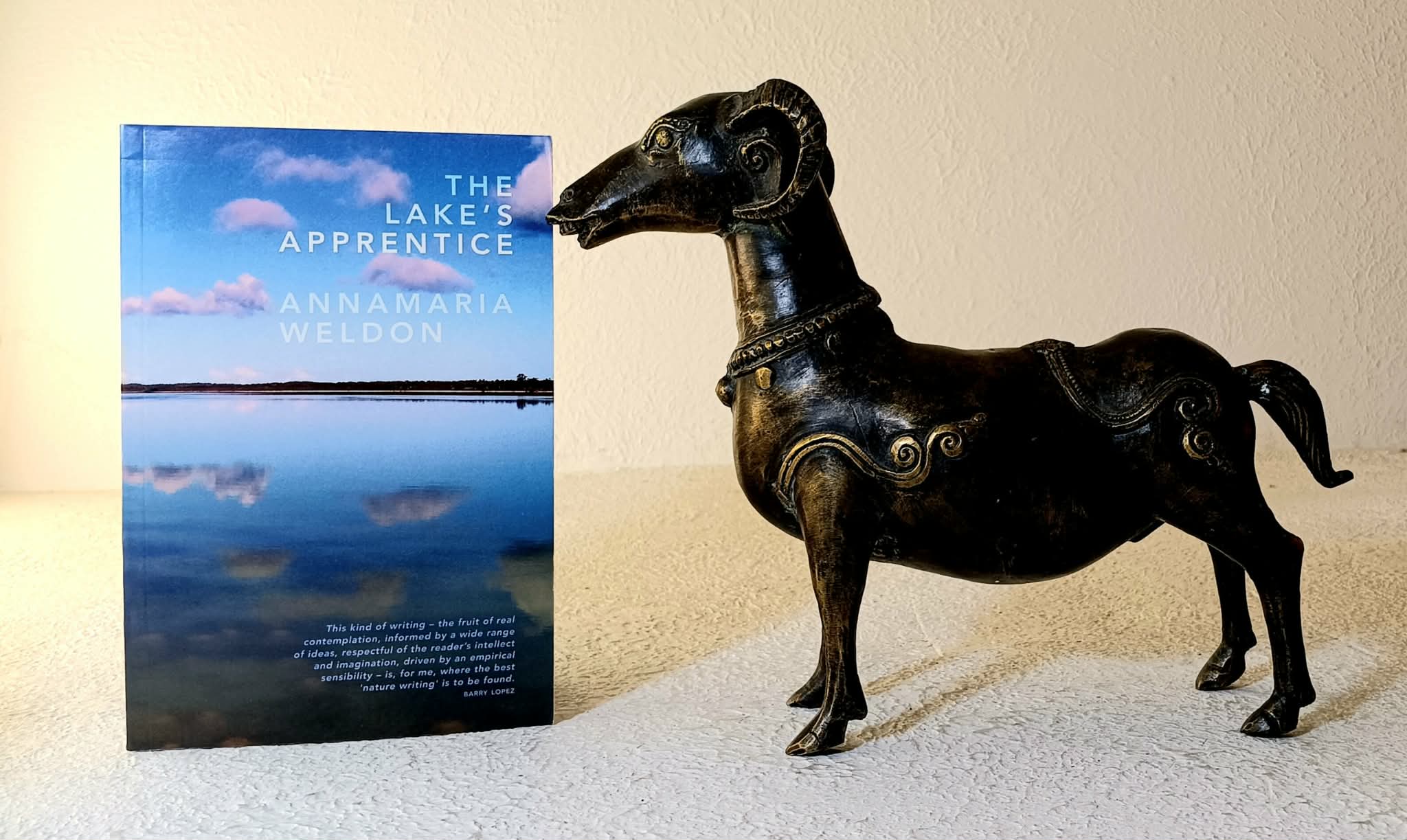 The Lake's Apprentice