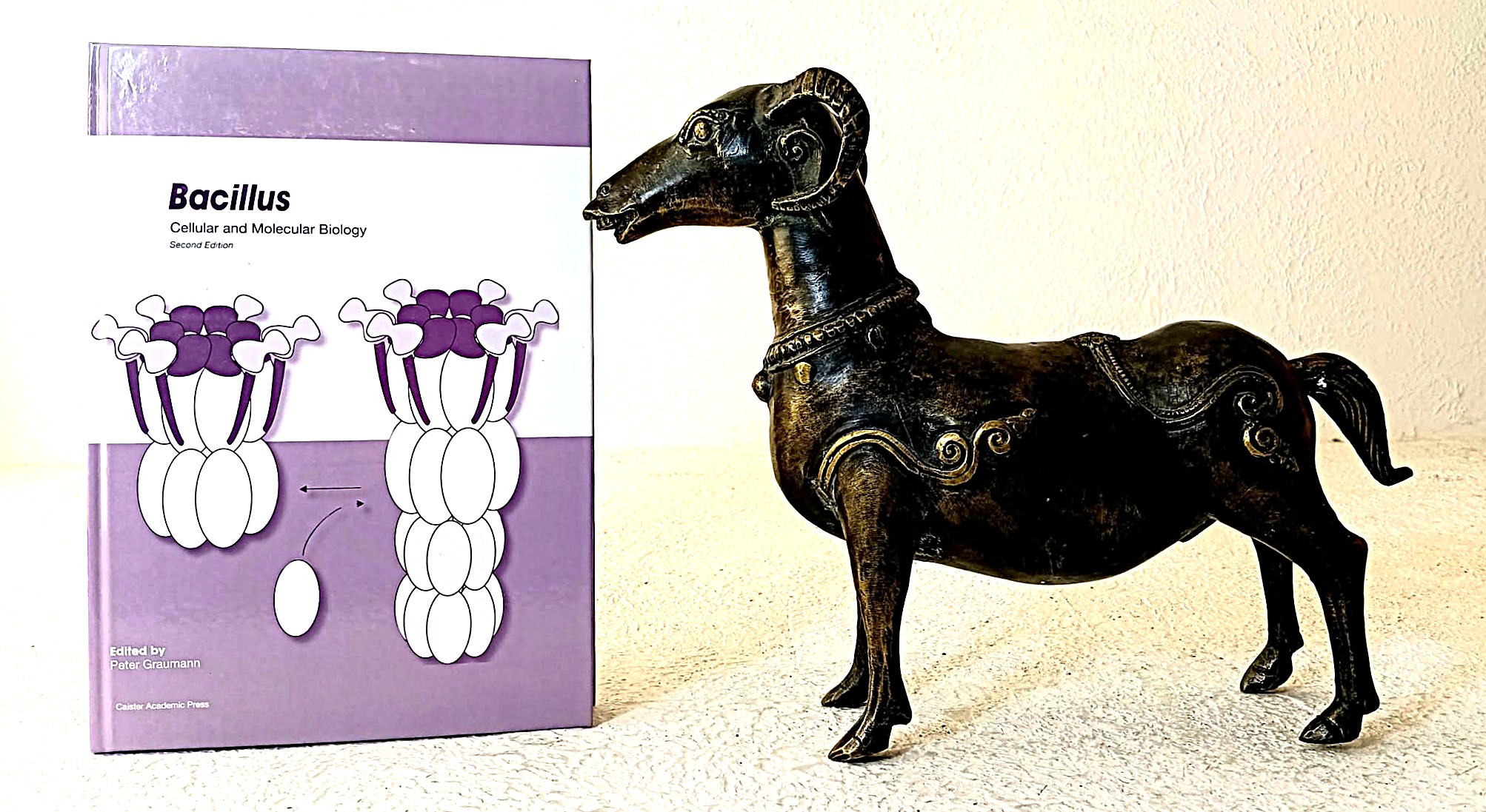 Bacillus: cellular and molecular biology, Second Edition