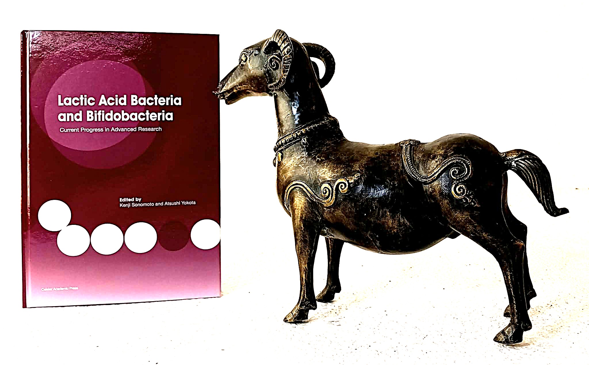 Lactic Acid Bacteria and Bifidobacteria: Current Progress in Advanced Research