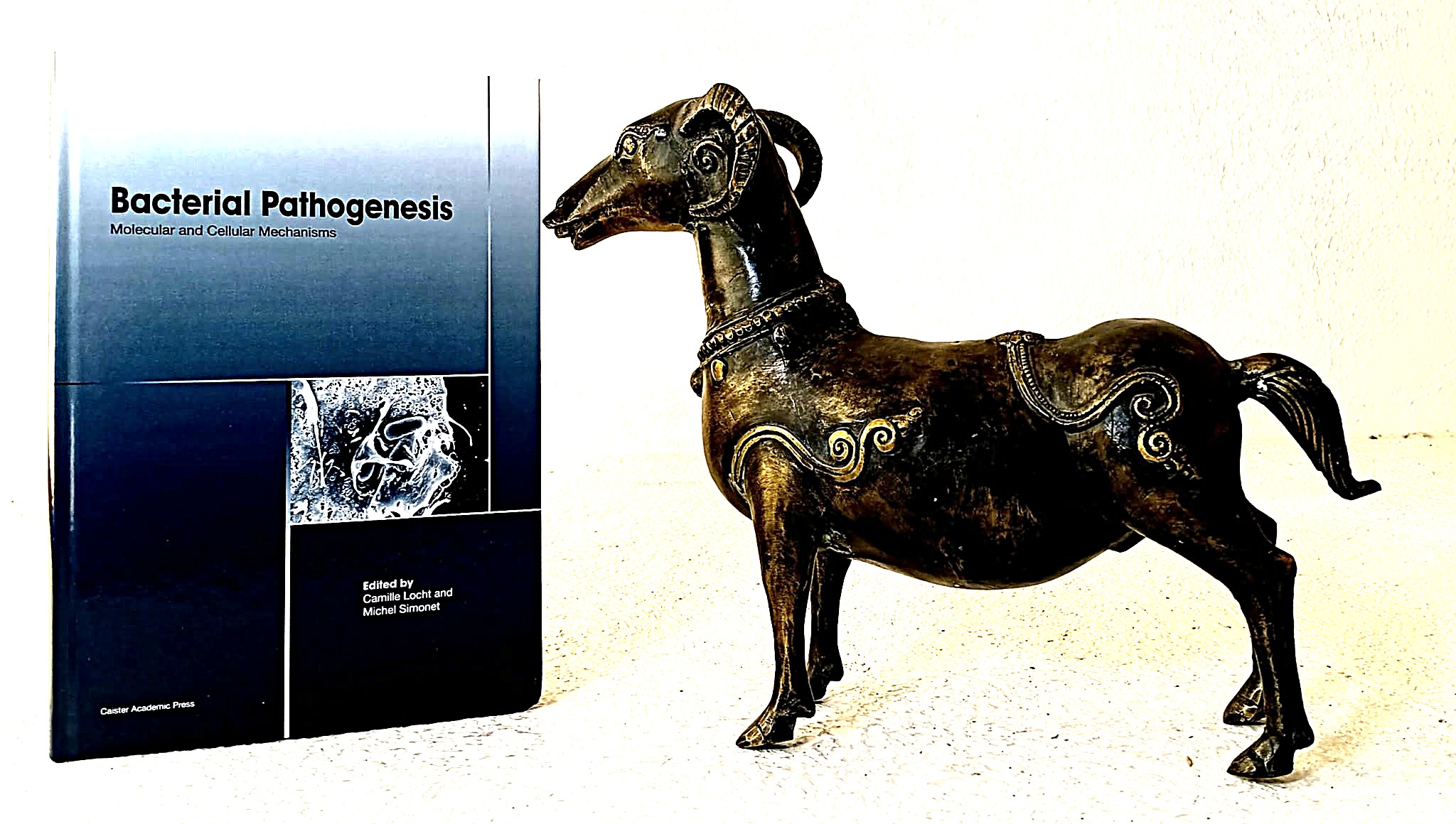 Bacterial Pathogenesis: molecular and cellular mechanisms that