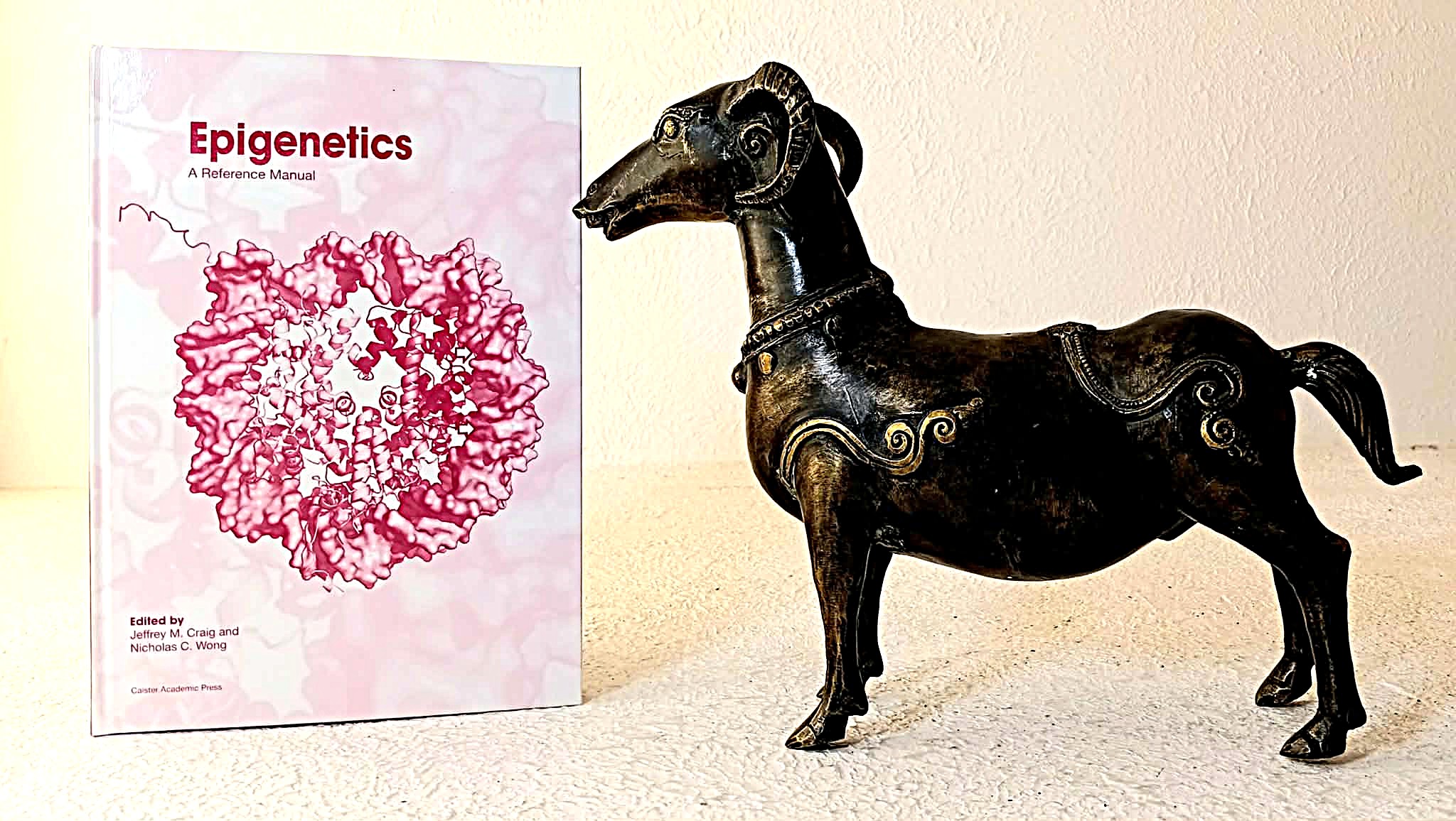 Epigenetics: a reference manual