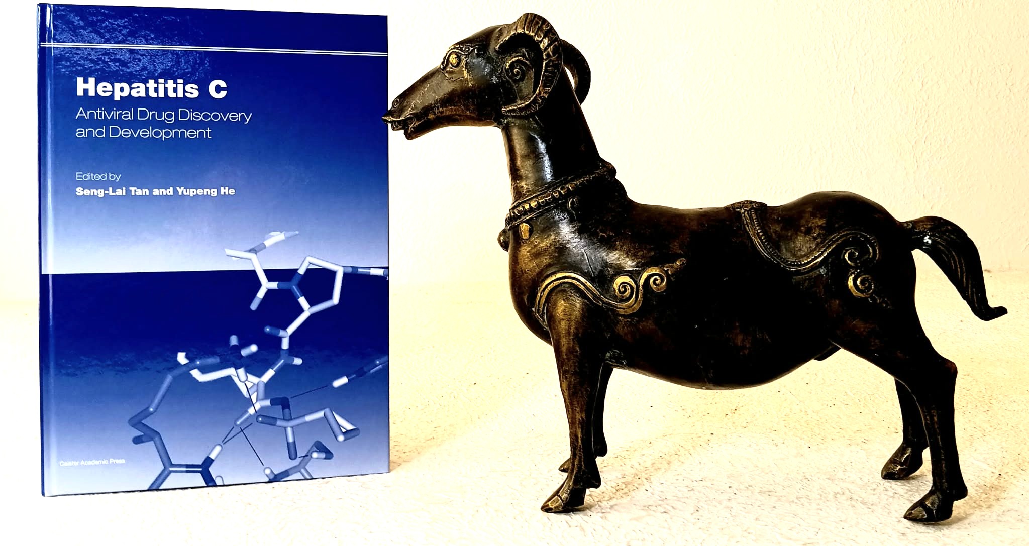 Hepatitis C: antiviral drug discovery and development