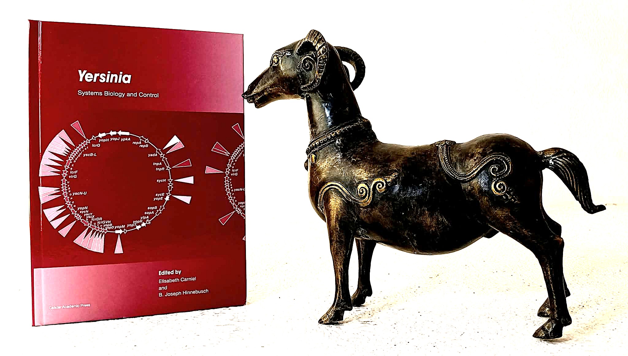 Yersinia: Systems Biology and Control Systems Biology and Control