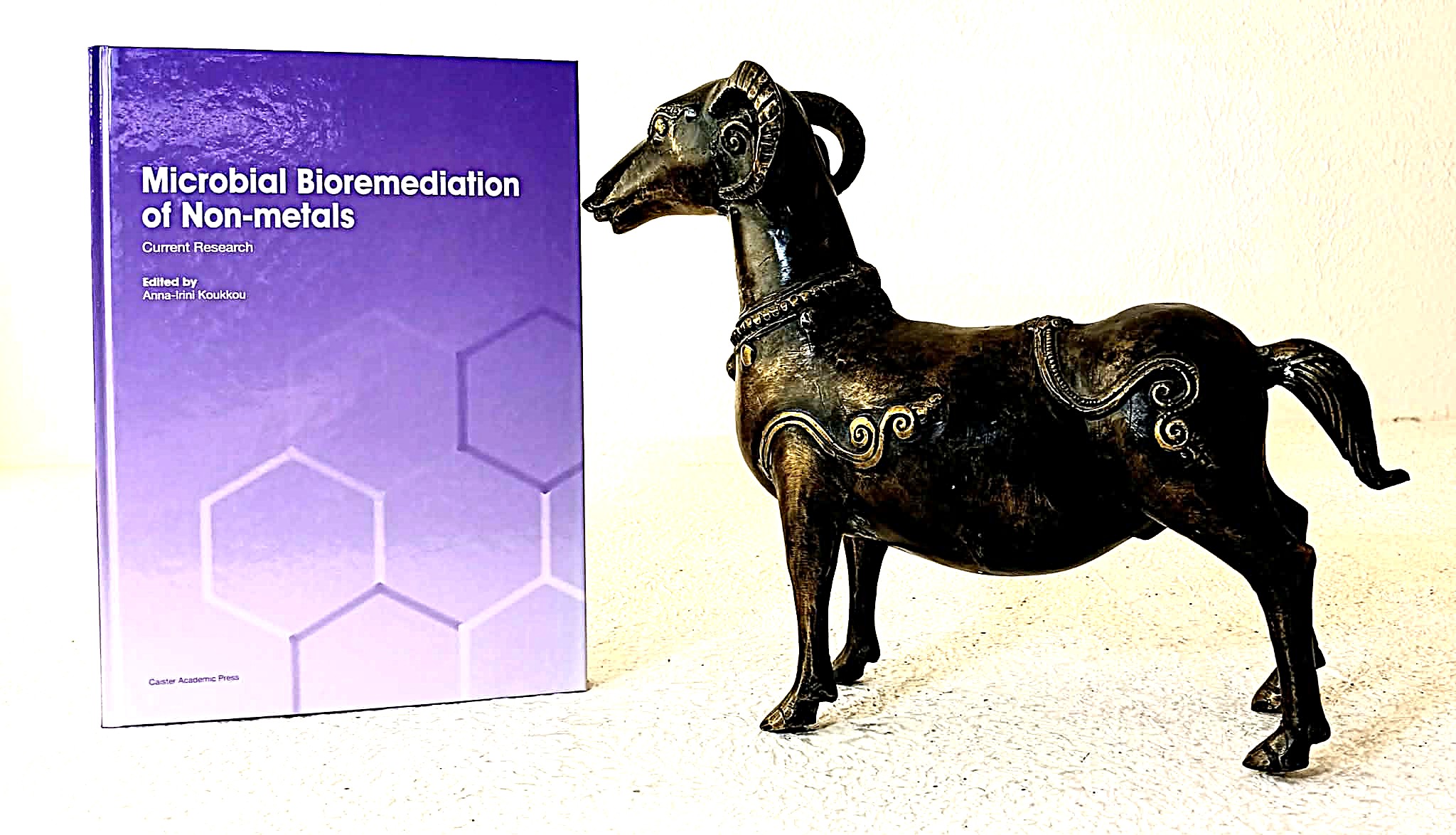 Microbial Bioremediation of Non-metals: Current Research