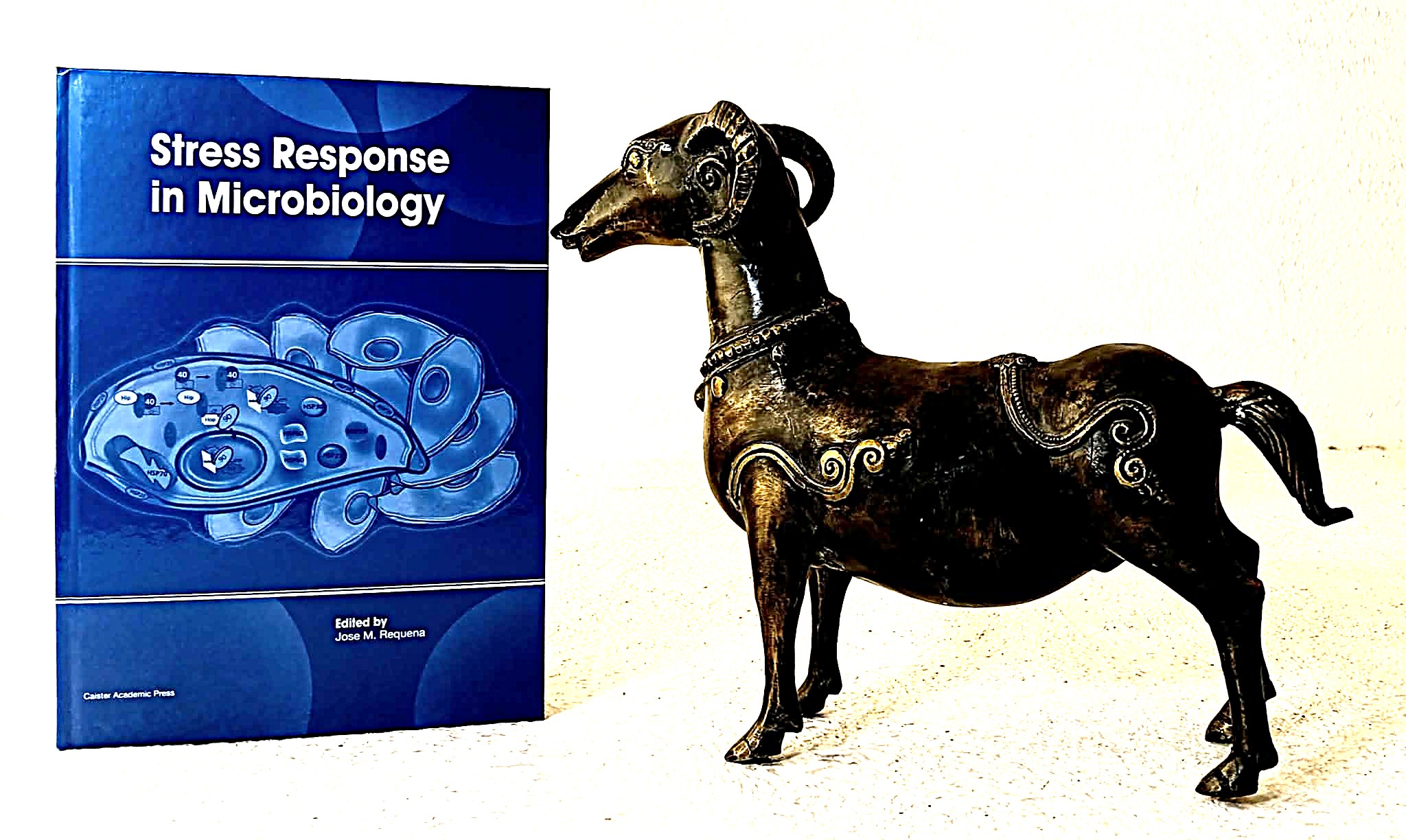 Stress Response in Microbiology