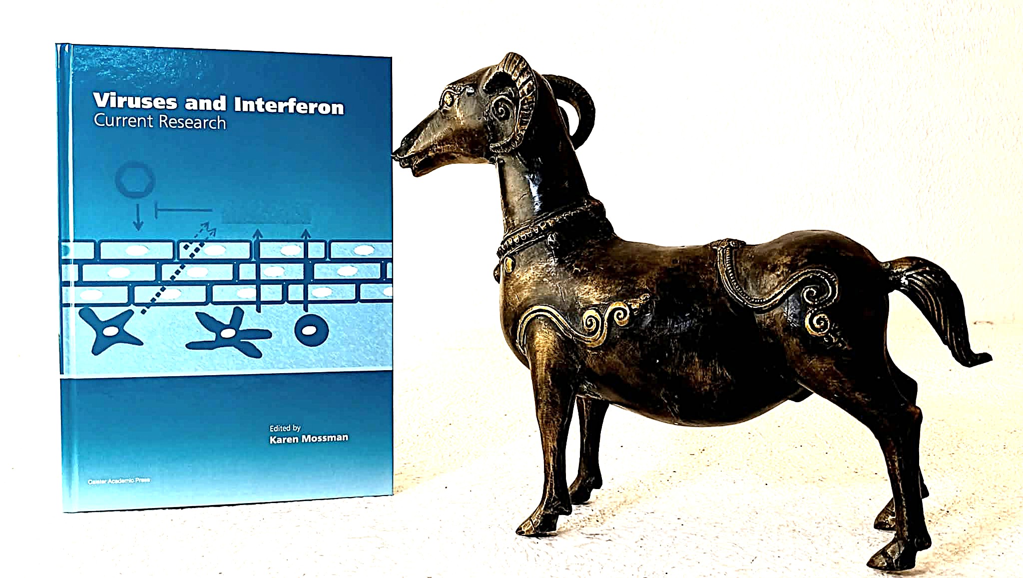 Viruses and Interferon: current research