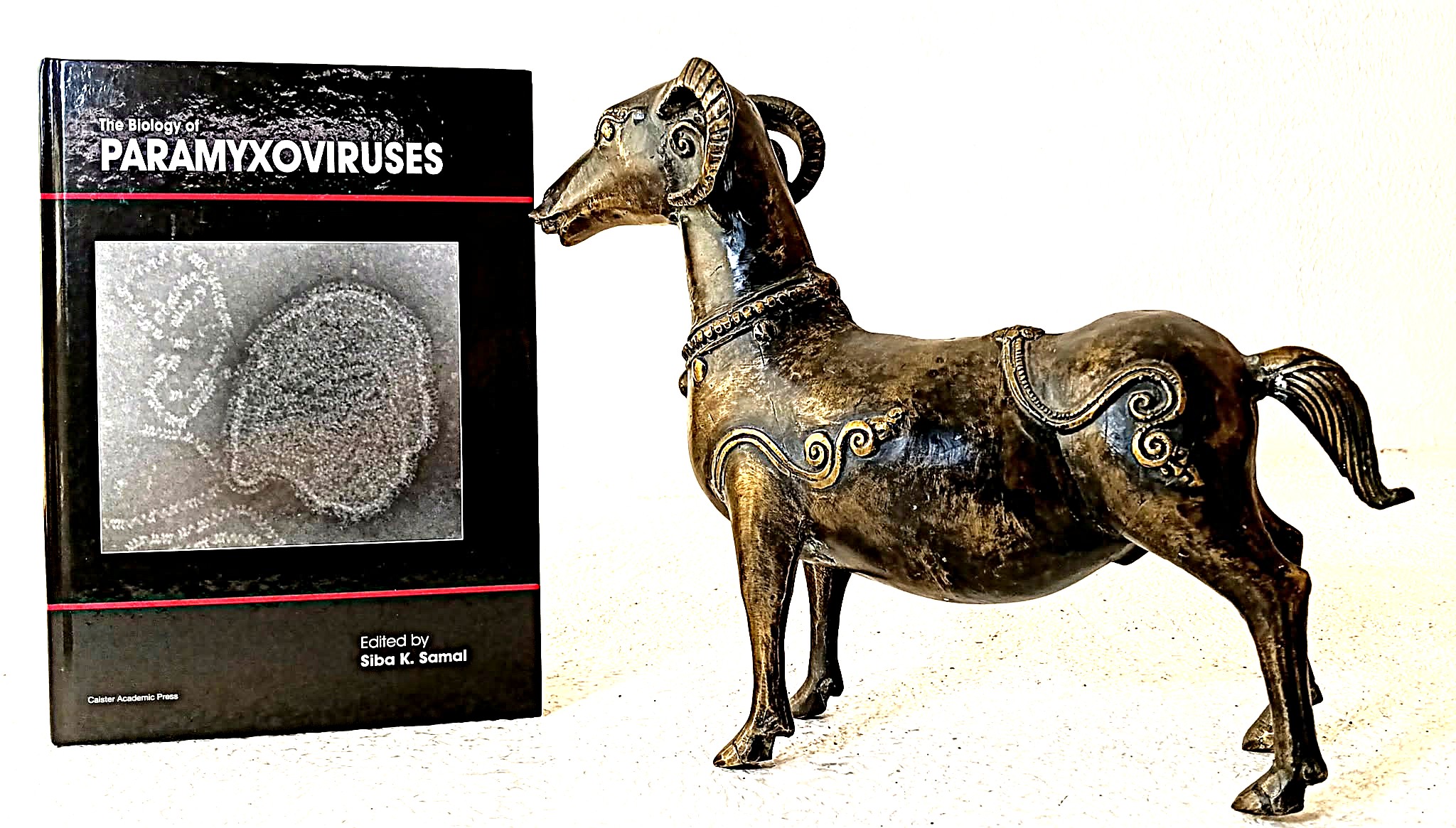 The Biology of Paramyxoviruses