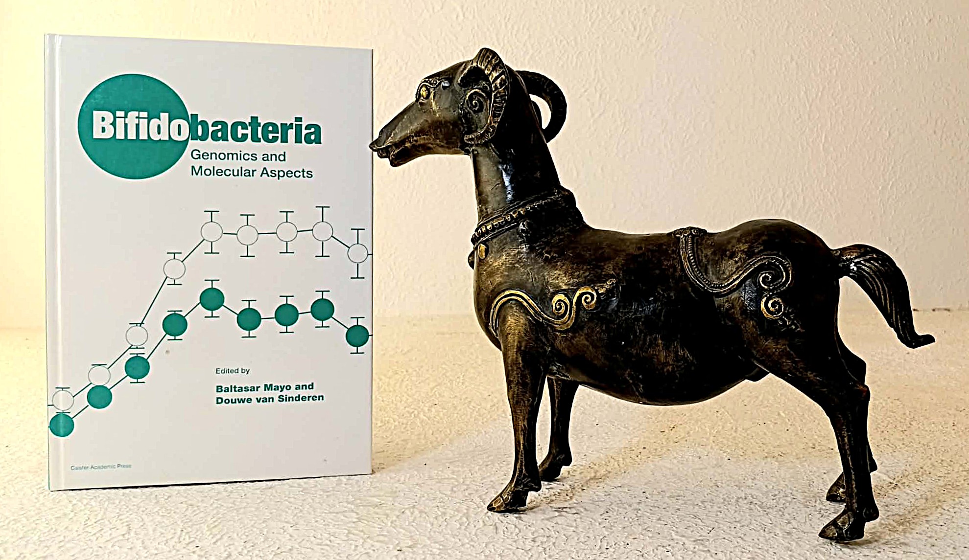 Bifidobacteria Genomics and Molecular Aspects