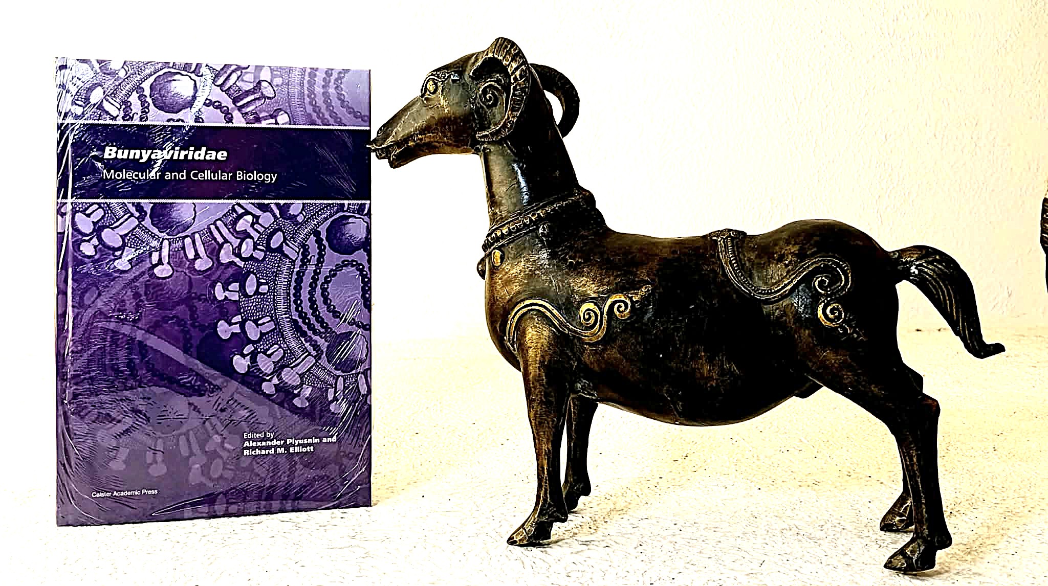 Bunyaviridae: molecular and cellular biology